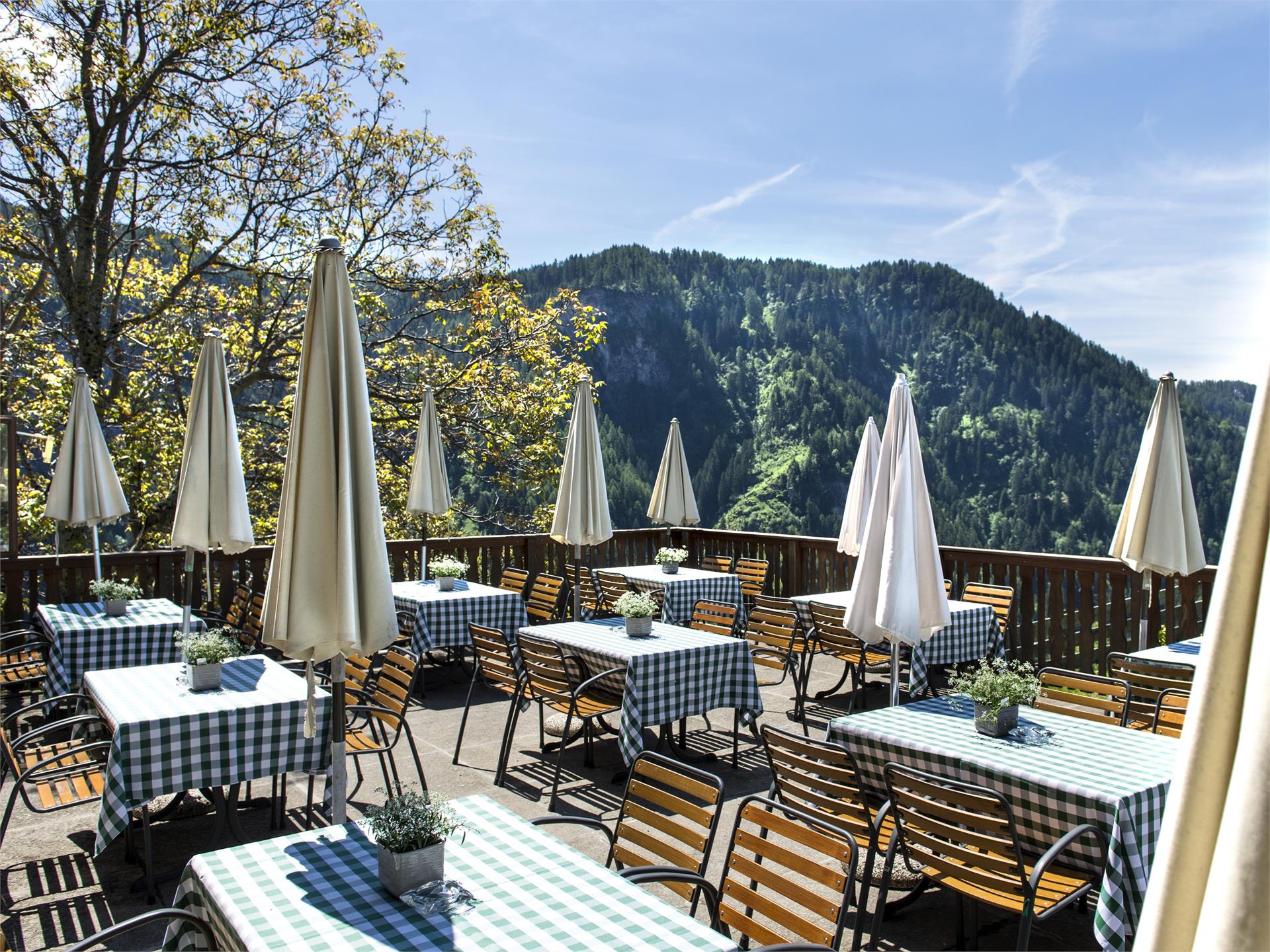 Gsteier - mountain inn Schenna/Scena 6 suedtirol.info