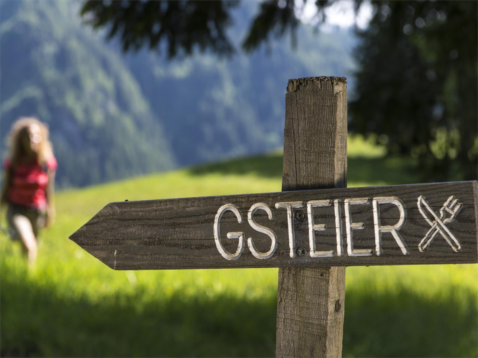 Gsteier - mountain inn Schenna/Scena 8 suedtirol.info