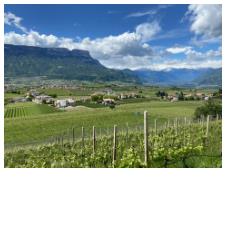 Gasthof Wastl Eppan an der Weinstraße 6 suedtirol.info