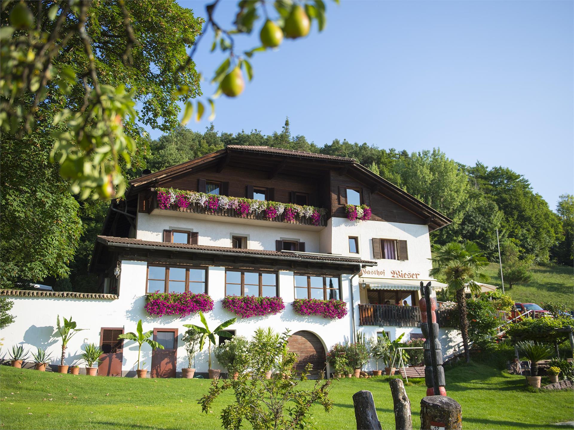 Gasthof Wieser Eppan an der Weinstraße 1 suedtirol.info