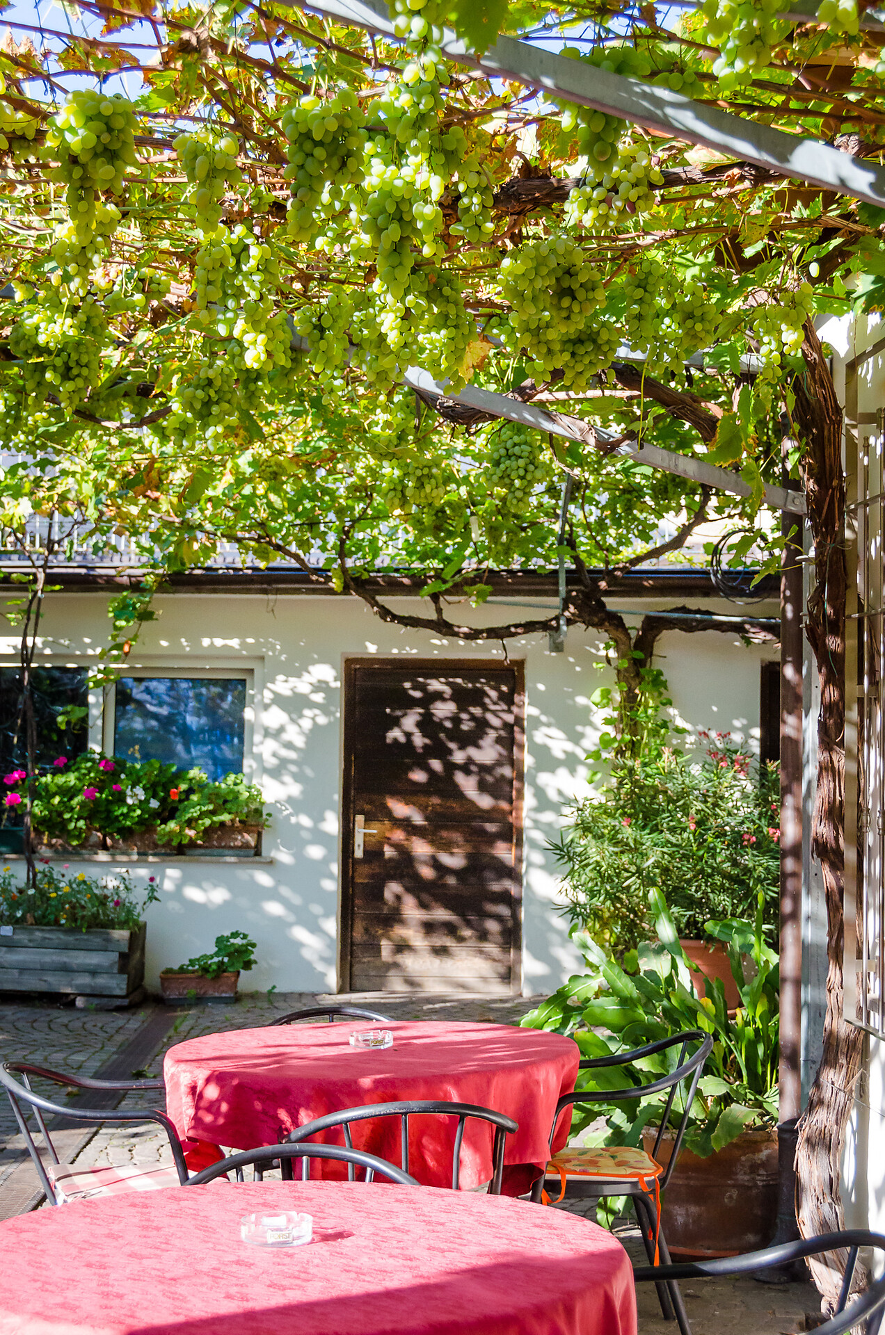 Garten
