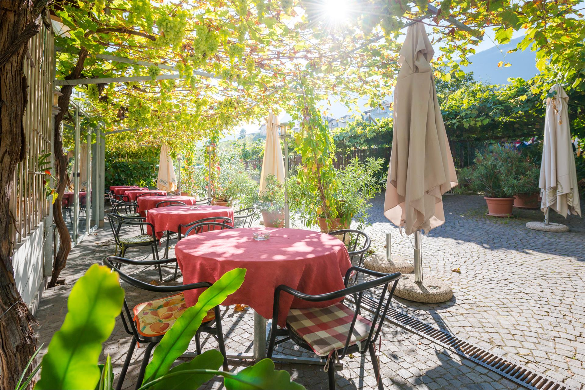 Gasthof-Pizzeria Zum Guten Tropfen Eppan an der Weinstraße 2 suedtirol.info