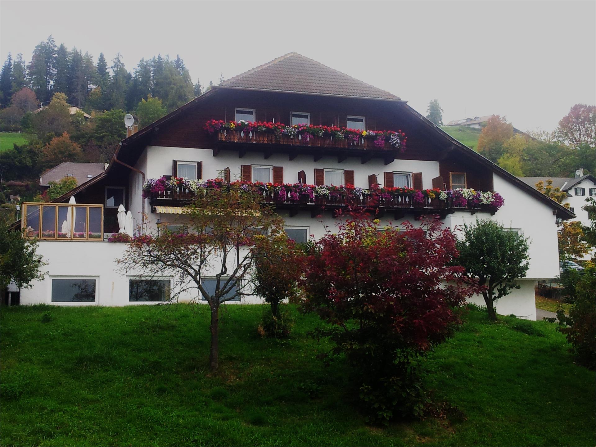 Gasthof Mesnerwirt Ritten 1 suedtirol.info
