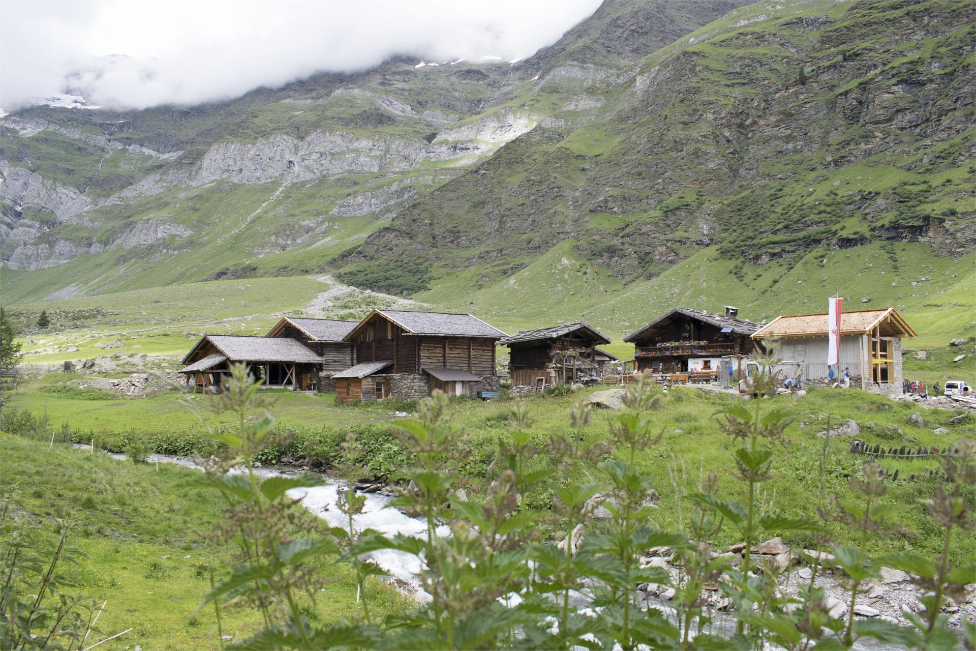 Gasthaus Lazins Moos in Passeier 4 suedtirol.info