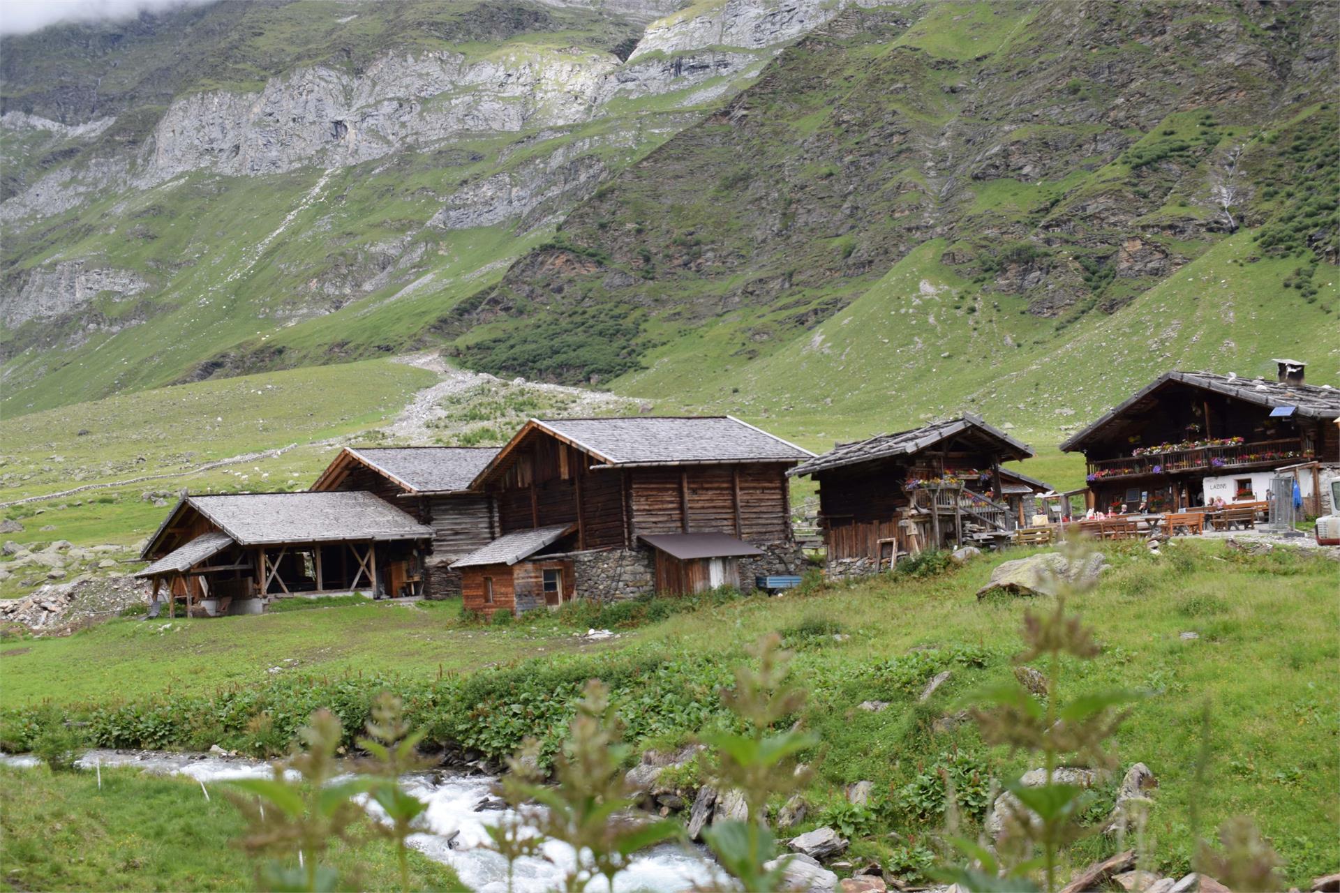 Gasthaus Lazins Moos in Passeier 7 suedtirol.info