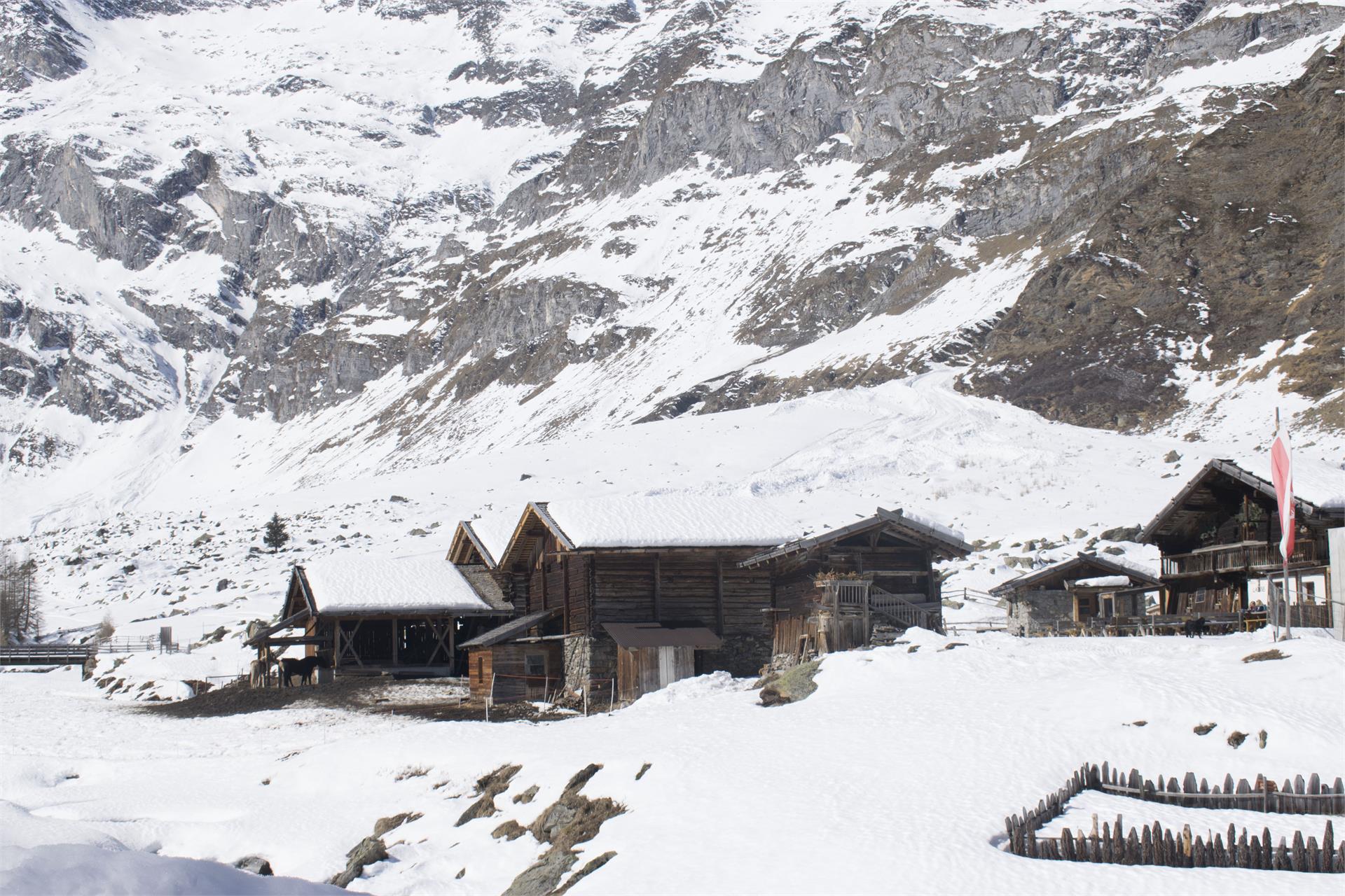 Gasthaus Lazins Moos in Passeier 9 suedtirol.info