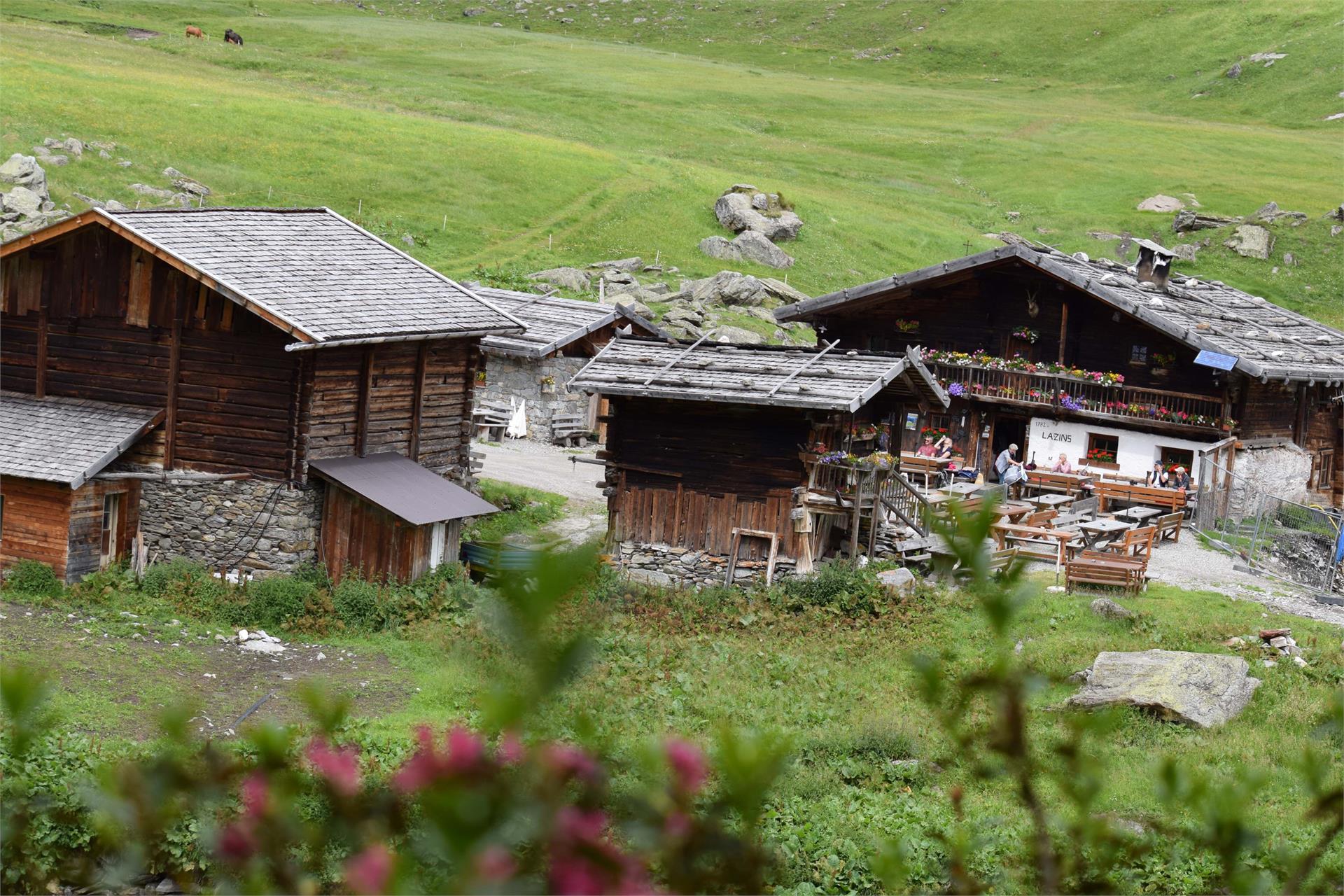 Gasthaus Lazins Moos in Passeier 6 suedtirol.info