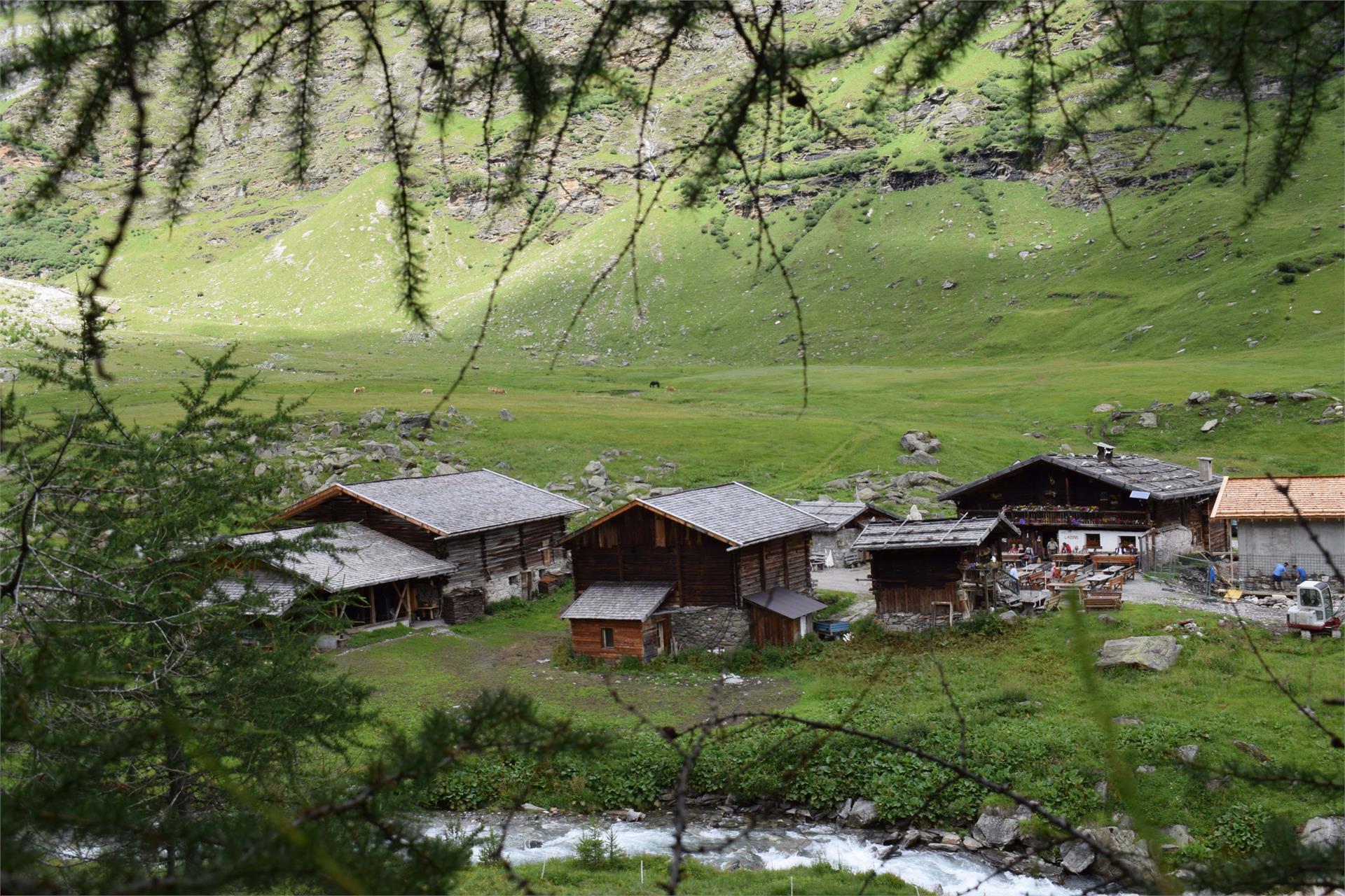 Gasthaus Lazins Moos in Passeier 5 suedtirol.info