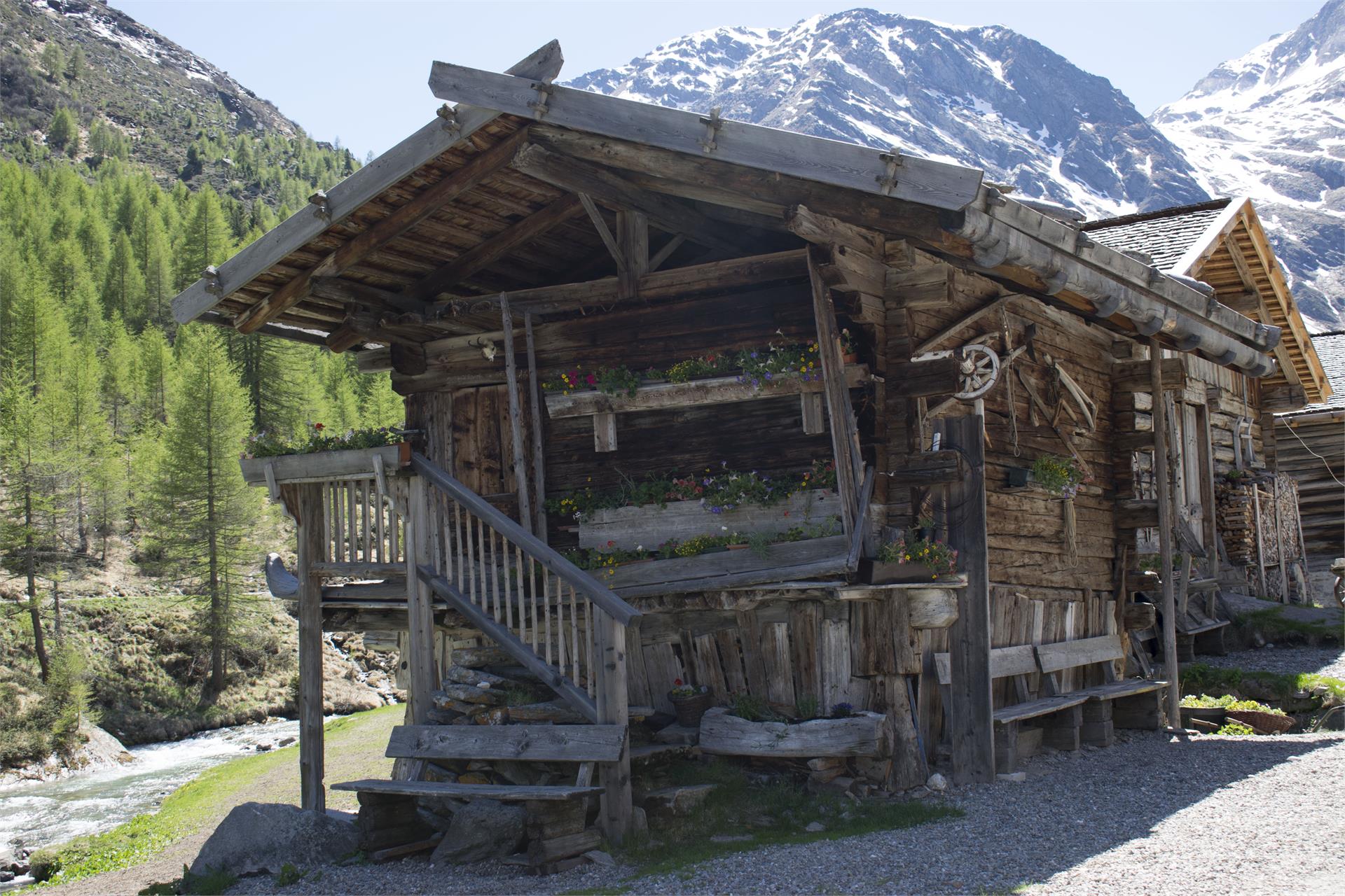 Gasthaus Lazins Moos in Passeier 3 suedtirol.info