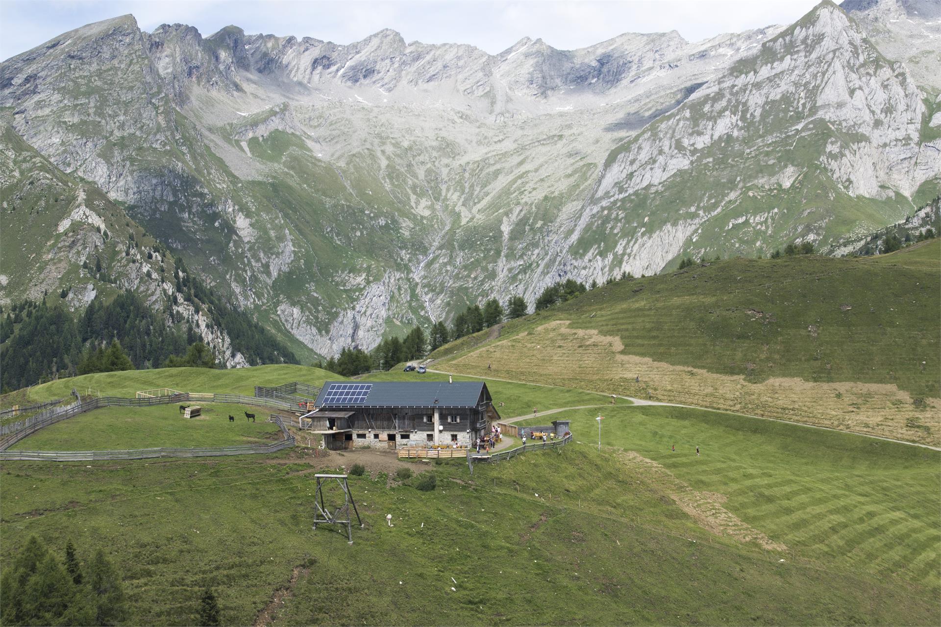 Gampiel Alm Vintl/Vandoies 3 suedtirol.info