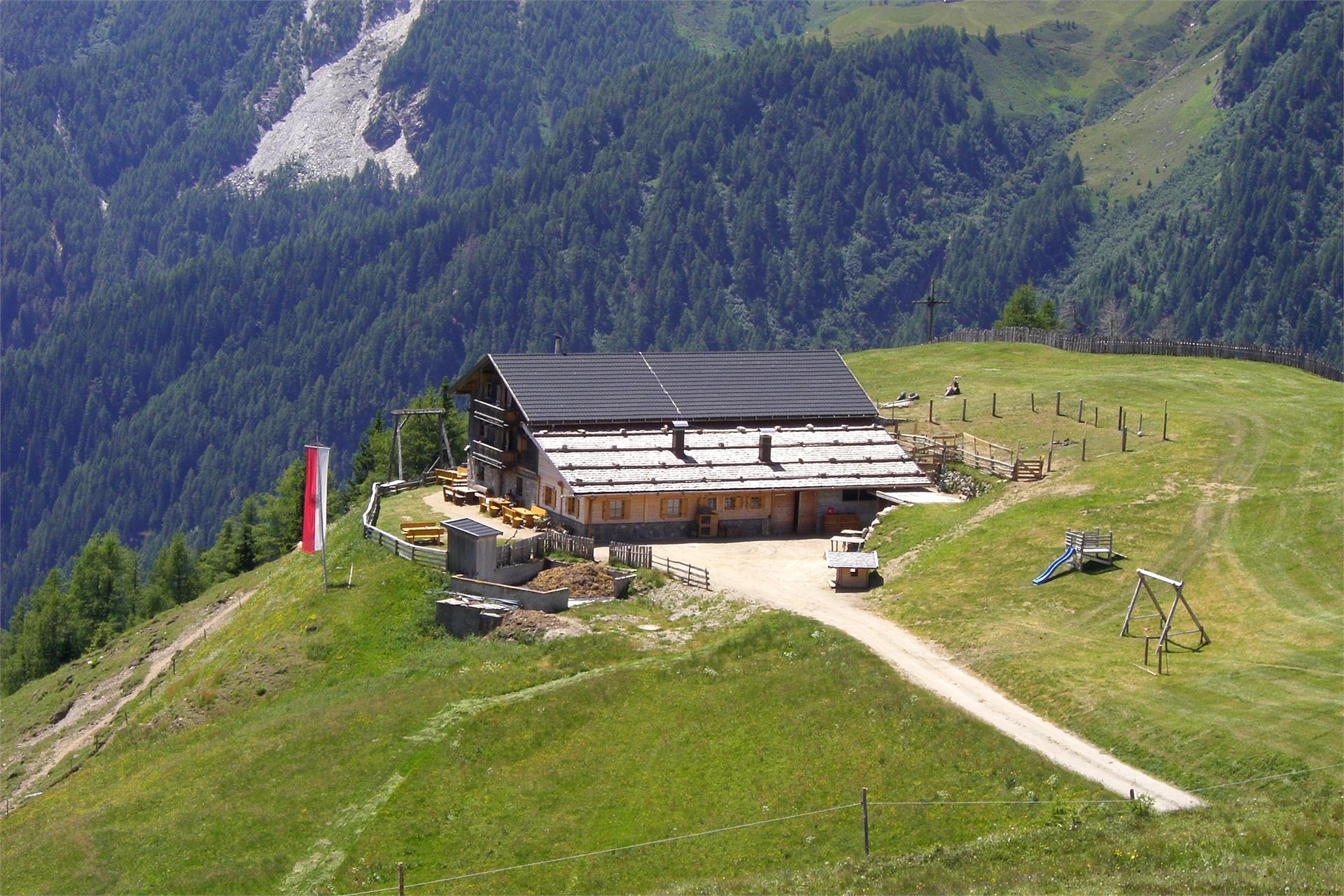 Gampiel Alm Vintl/Vandoies 2 suedtirol.info