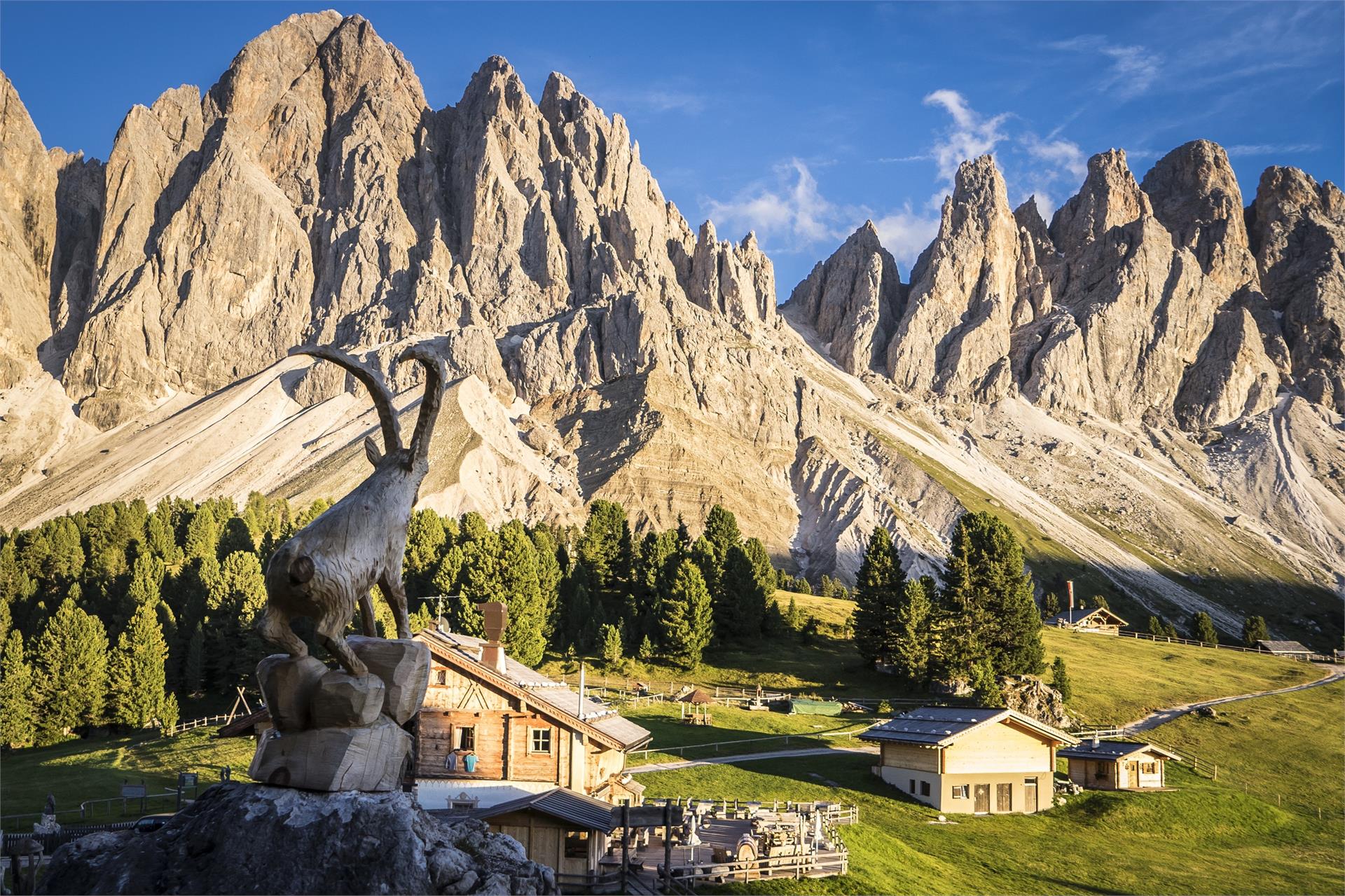 Malga Geisleralm Funes 3 suedtirol.info