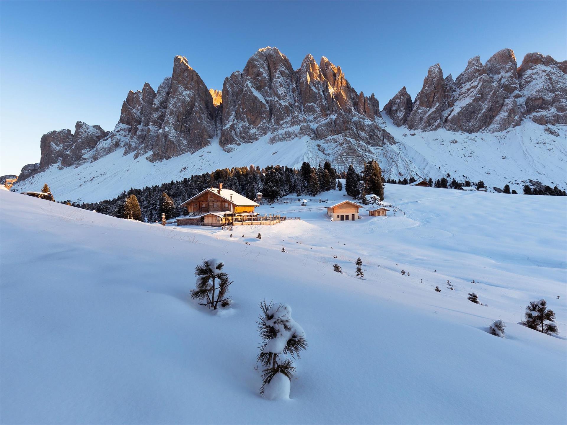 Malga Geisleralm Funes 1 suedtirol.info