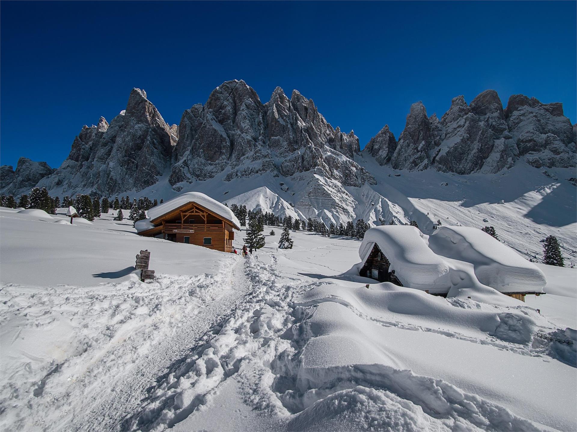 Gschnagenhardt Alm Villnöss/Funes 2 suedtirol.info