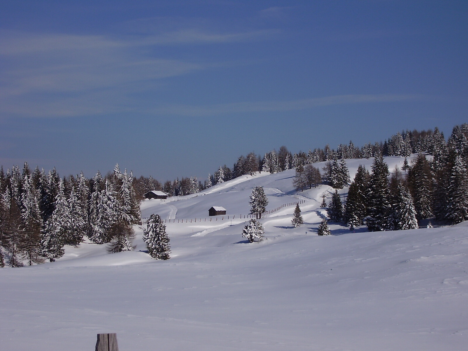 Gasthof Pension Alpenrose - Brixen/Bressanone and environs - #2 - suedtirol.info