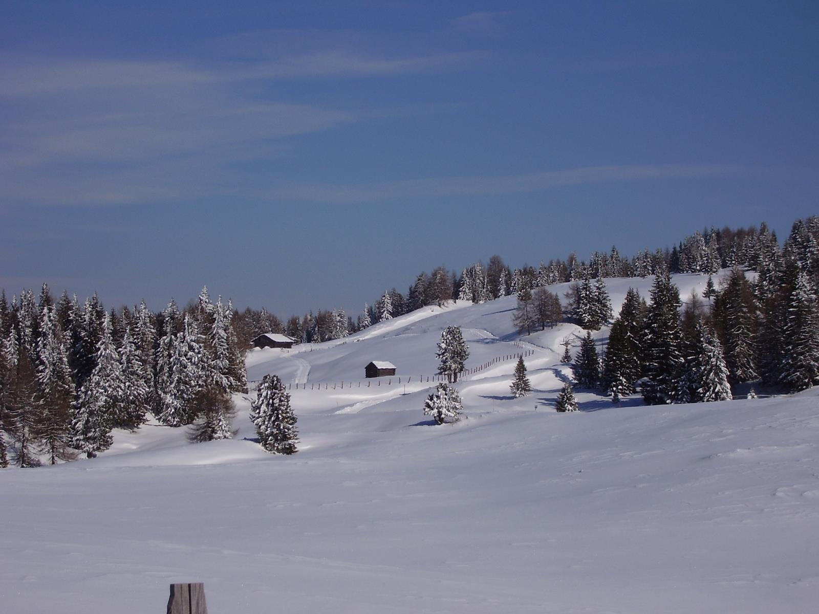 Gasthof Pension Alpenrose Rodeneck/Rodengo 2 suedtirol.info