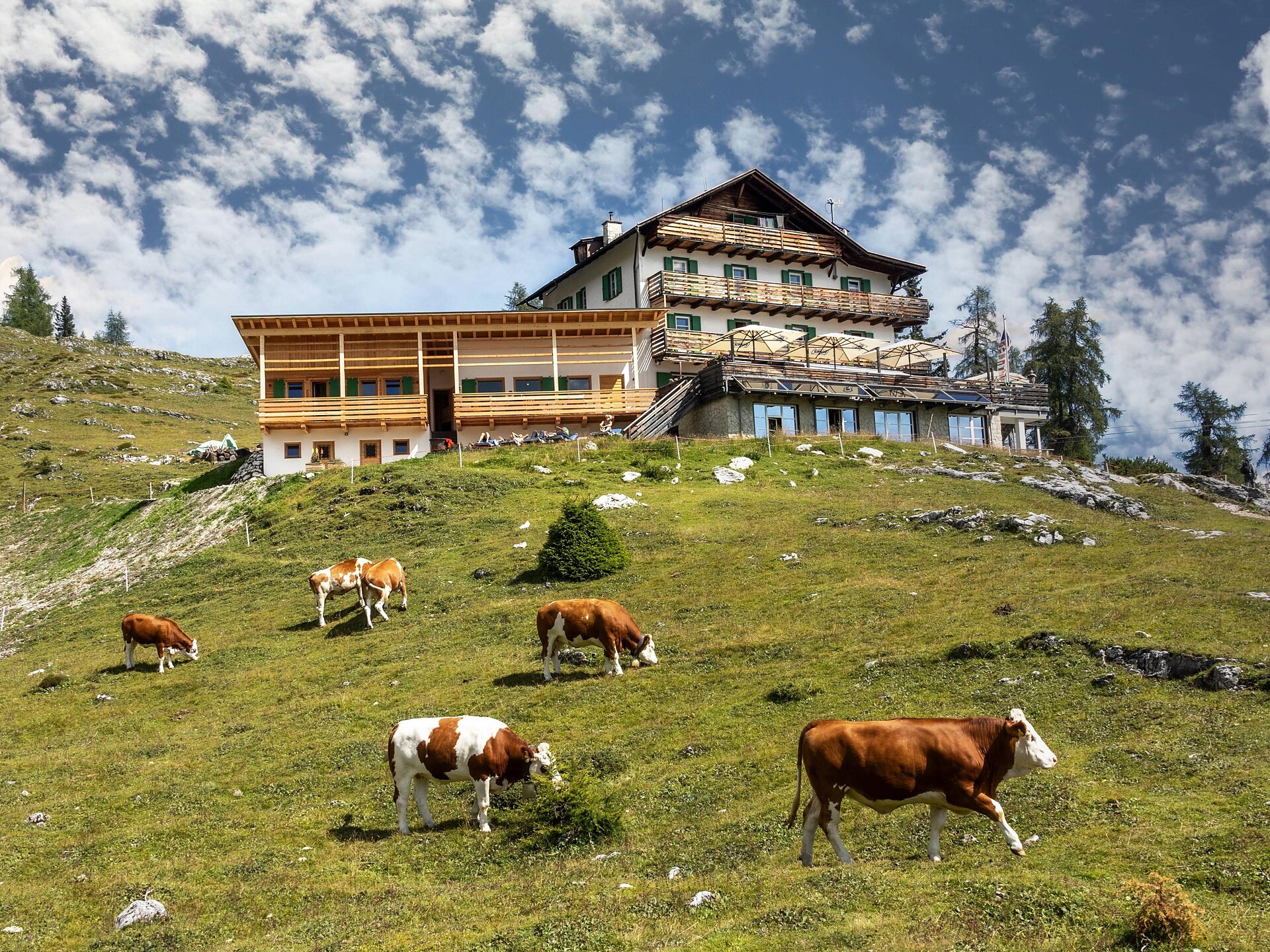 Gardenacia hut - Dolomites Region Alta Badia - #1 - suedtirol.info