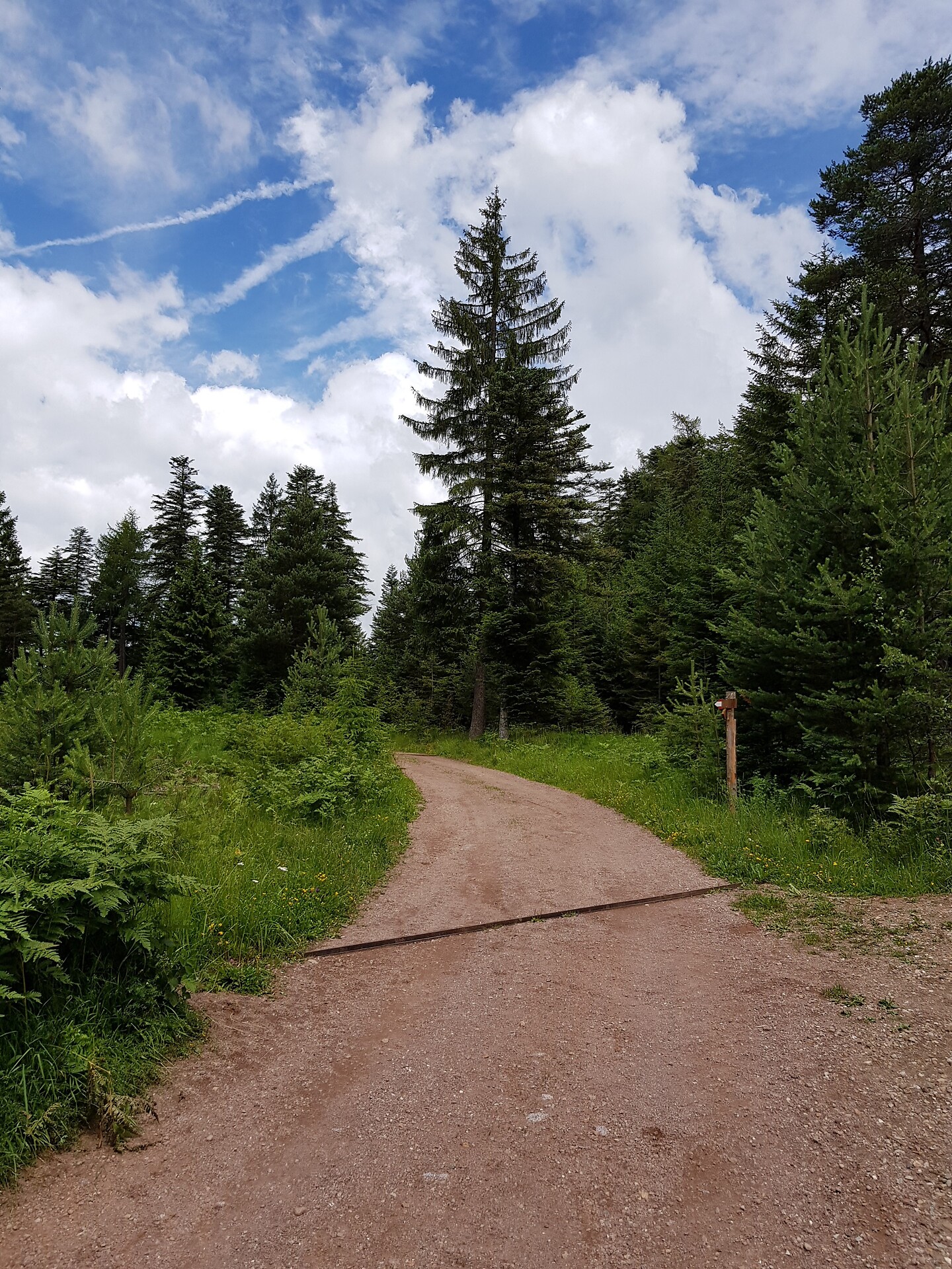 Wanderweg