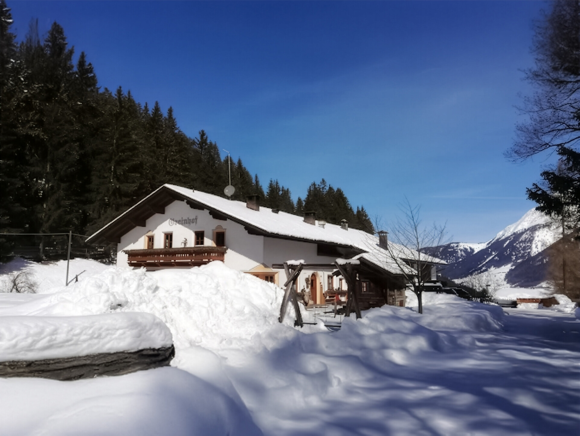 Greinhof - Vinschgau/Val Venosta - #1 - suedtirol.info