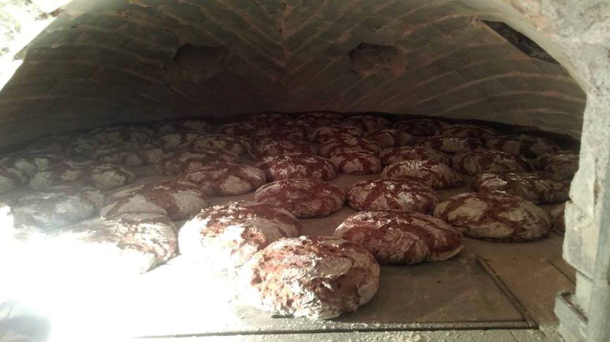 Our oven