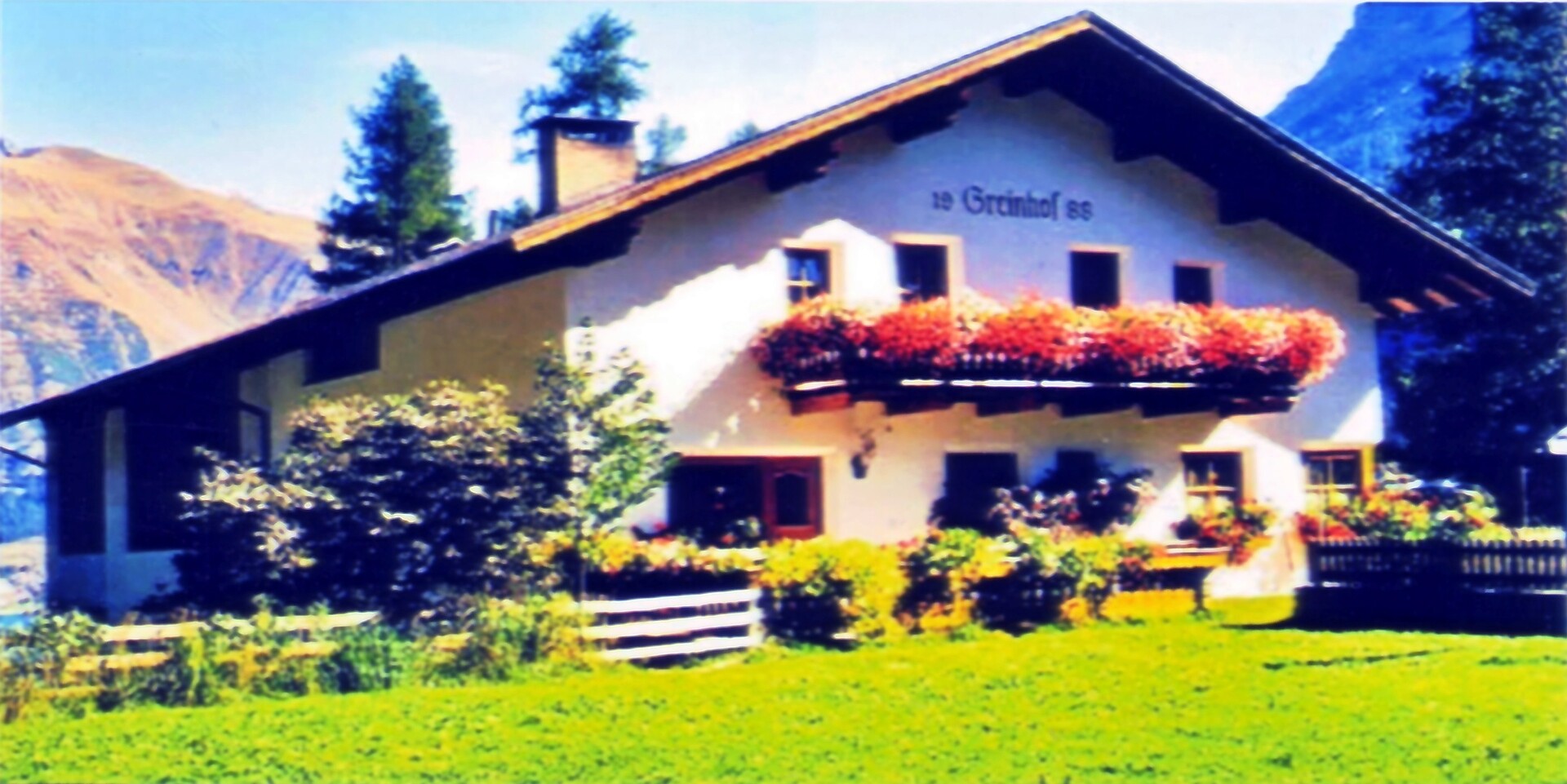 Greinhof