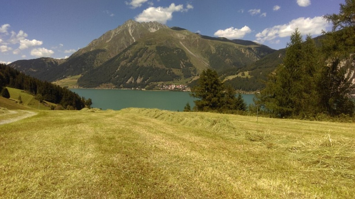 View