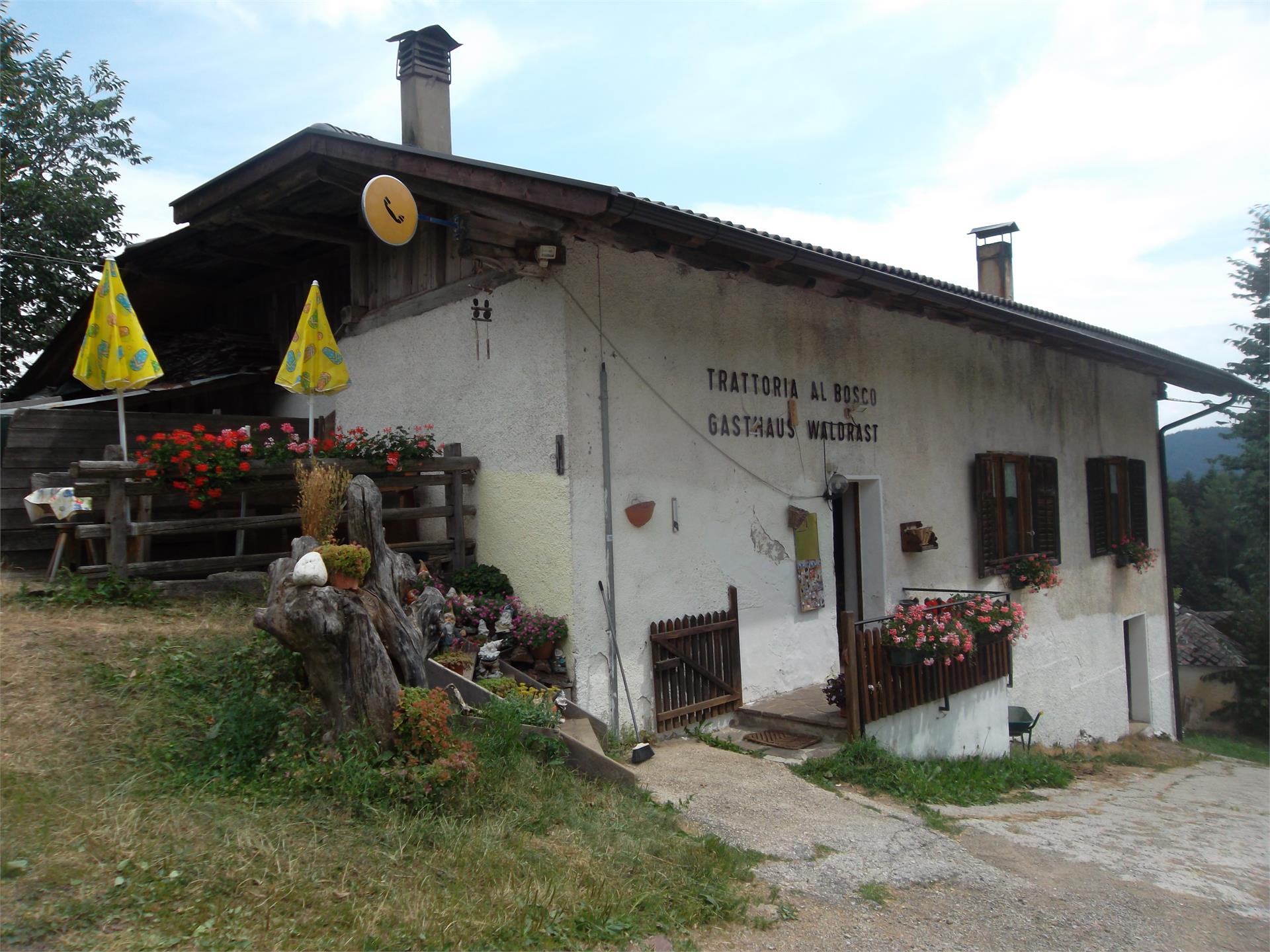 Gasthaus Waldrast Proveis 1 suedtirol.info