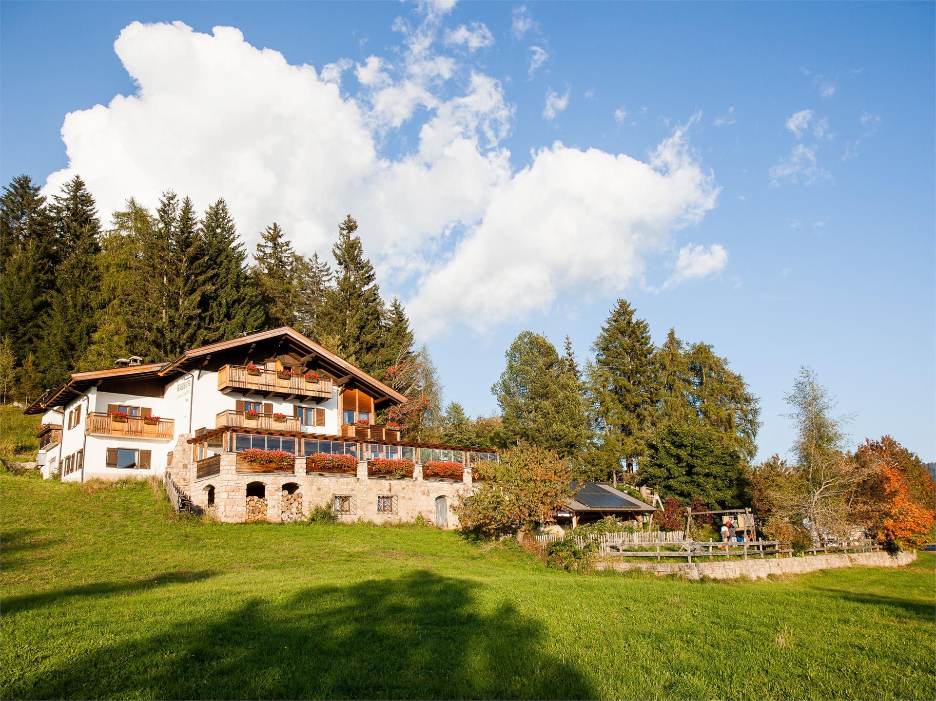 Gasthof Waldbichl Vöran/Verano 2 suedtirol.info