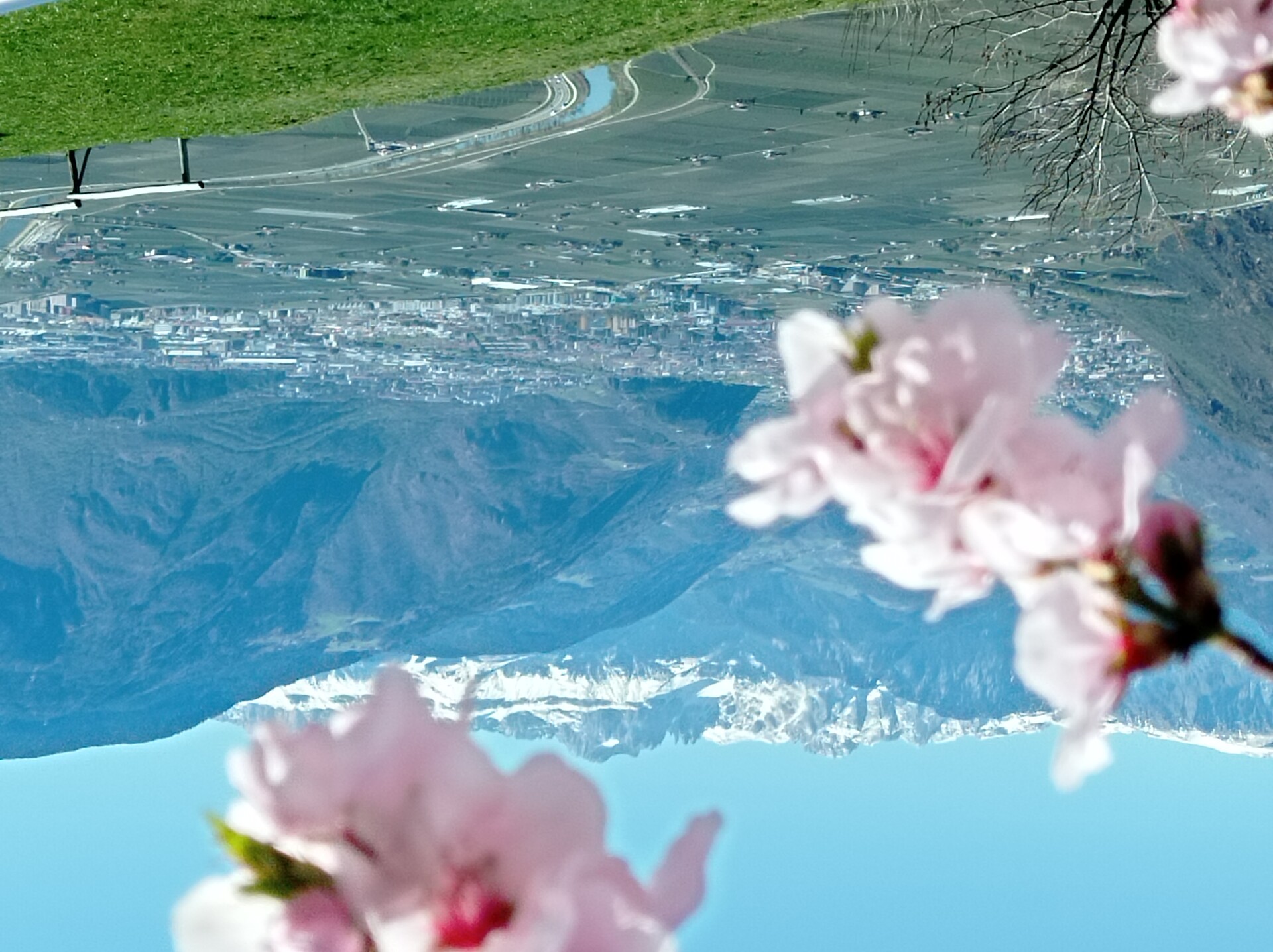 Gasthof Lipp Eppan an der Weinstaße/Appiano sulla Strada del Vino 2 suedtirol.info