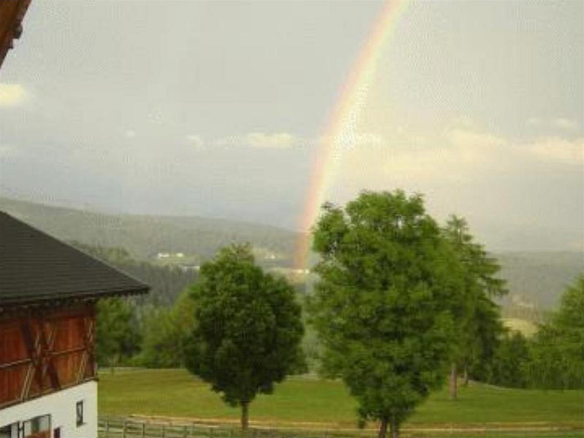 Gasthof Langfenn Mölten/Meltina 2 suedtirol.info