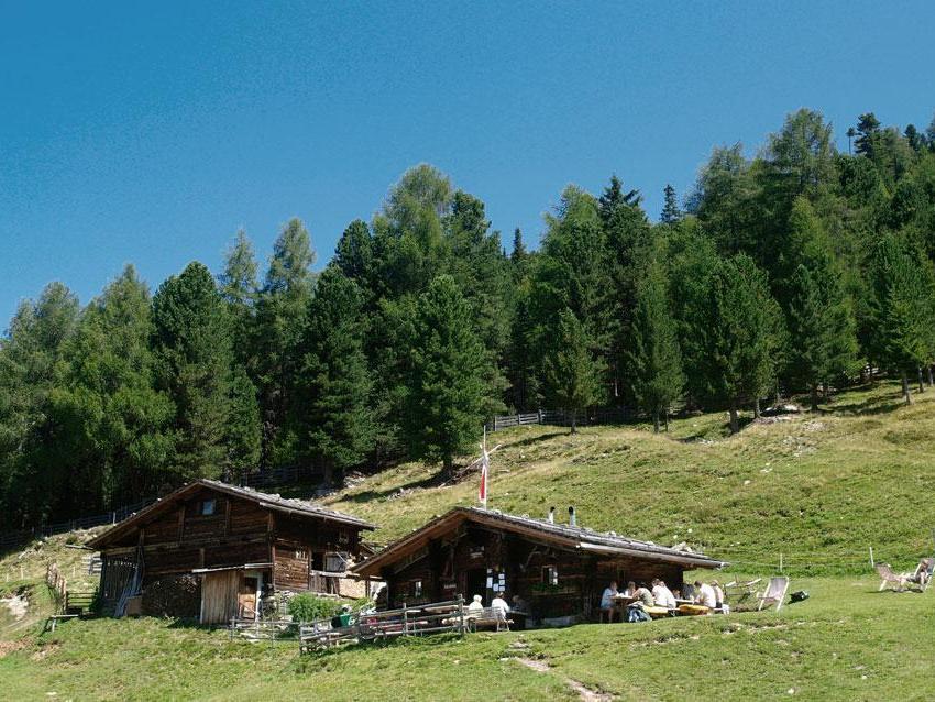 Gruberalm Ahrntal 1 suedtirol.info