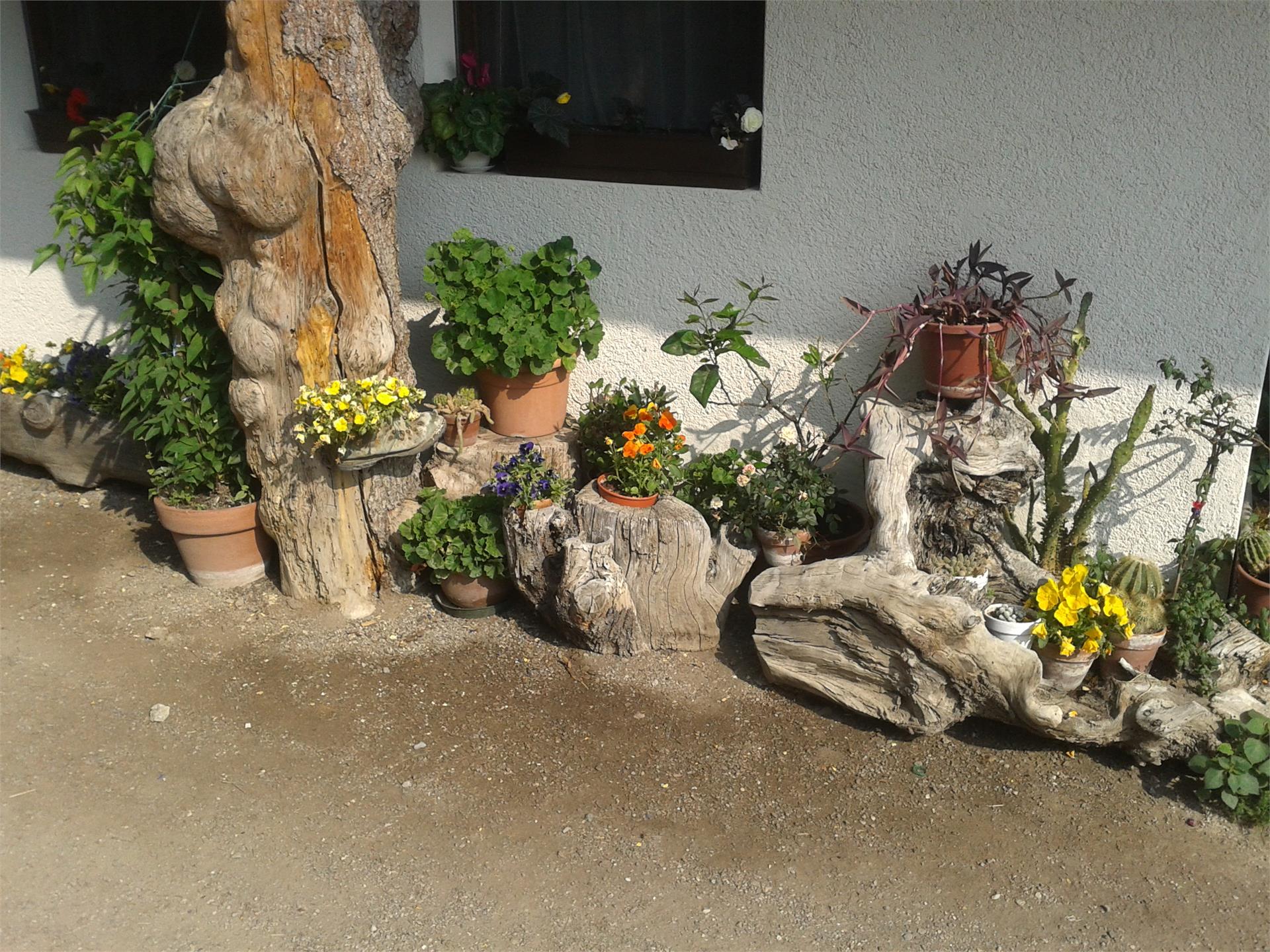 Gasthaus Kienegg Algund 2 suedtirol.info