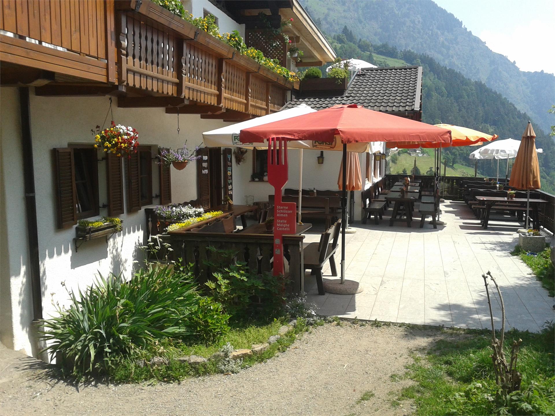 Gasthaus Kienegg Algund 3 suedtirol.info
