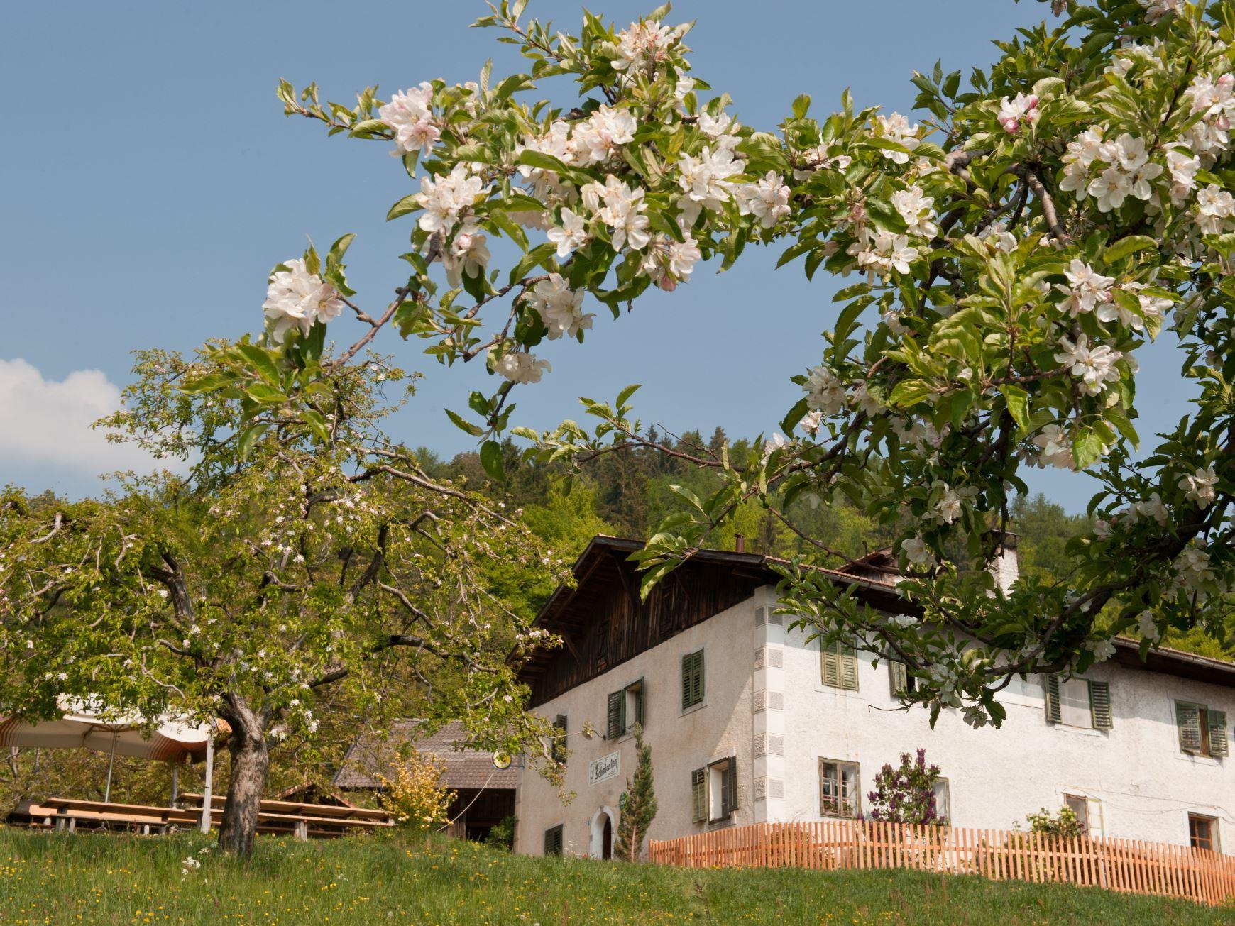 Gasthaus Schmiedlhof Tisens 1 suedtirol.info