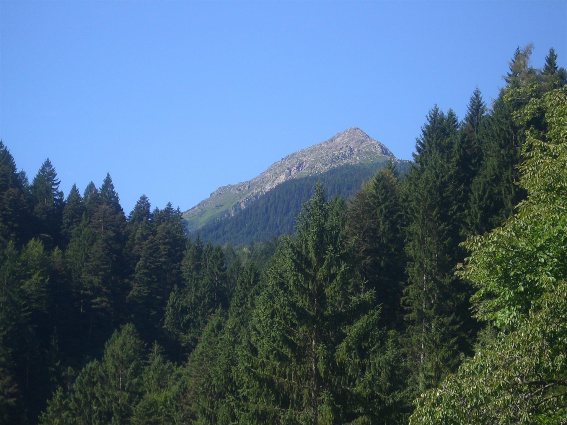 Gasthof Völlaner Badl Tisens/Tesimo 5 suedtirol.info