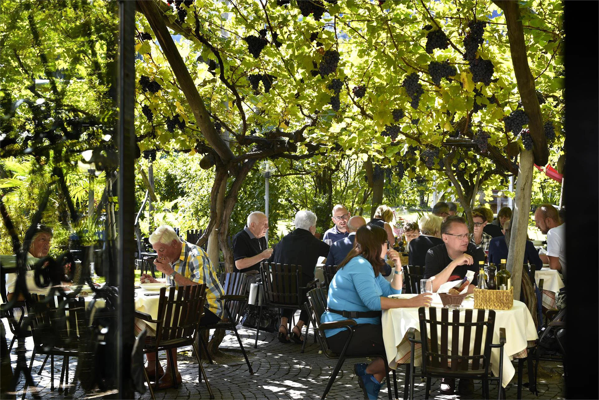 Albergo Aquila Nera Andriano 5 suedtirol.info