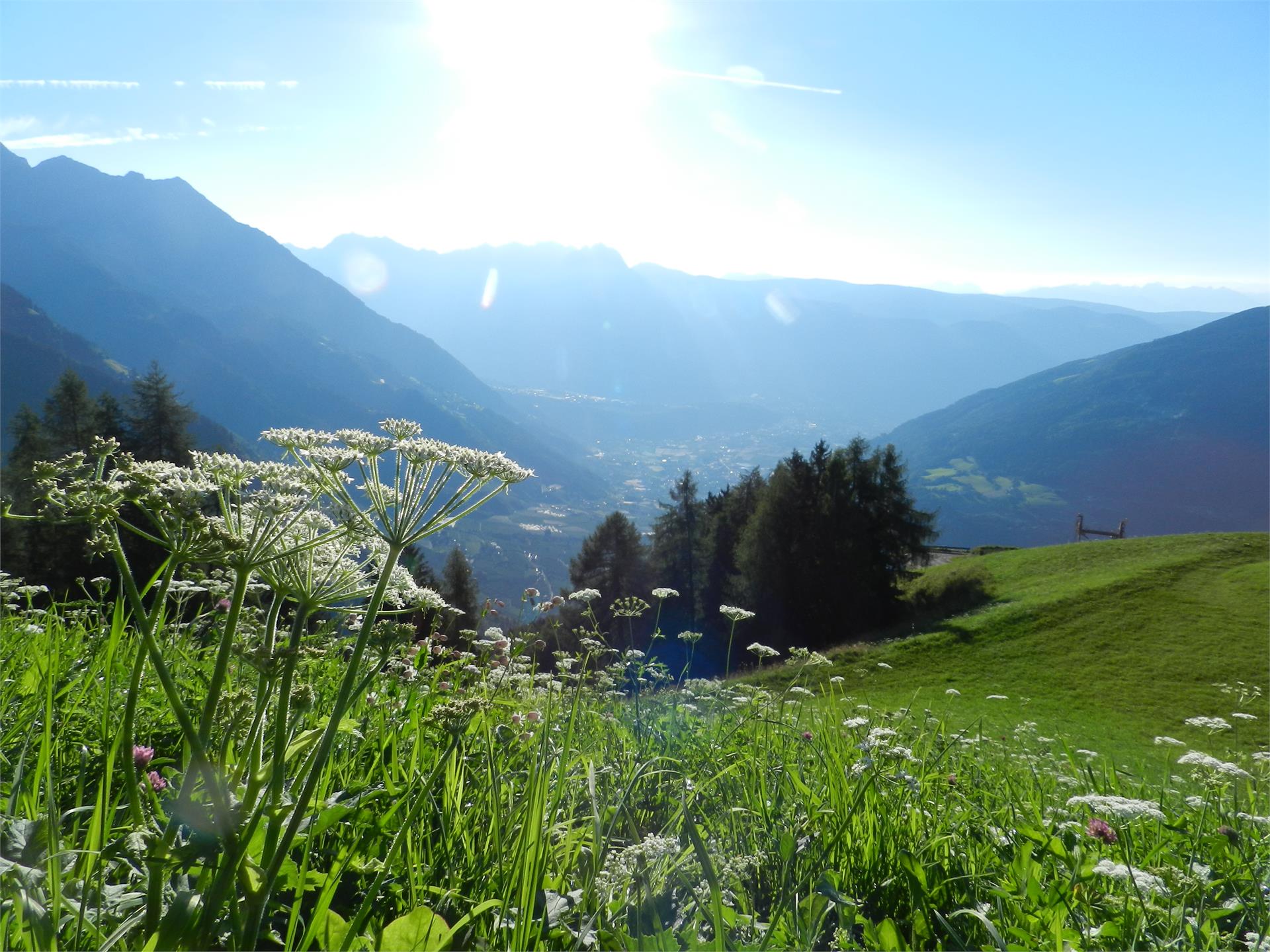 Gasthaus Giggelberg Partschins 2 suedtirol.info