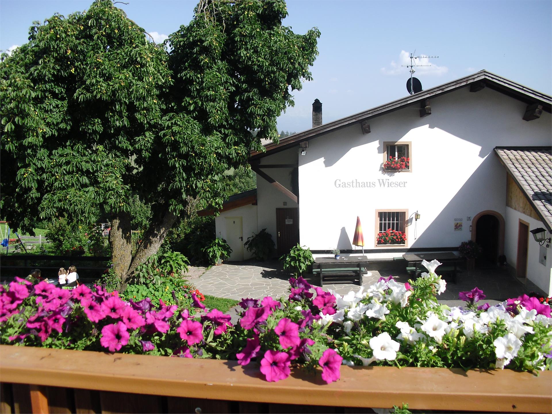 Gasthaus Wieser Wanderbauernhof Jenesien 1 suedtirol.info