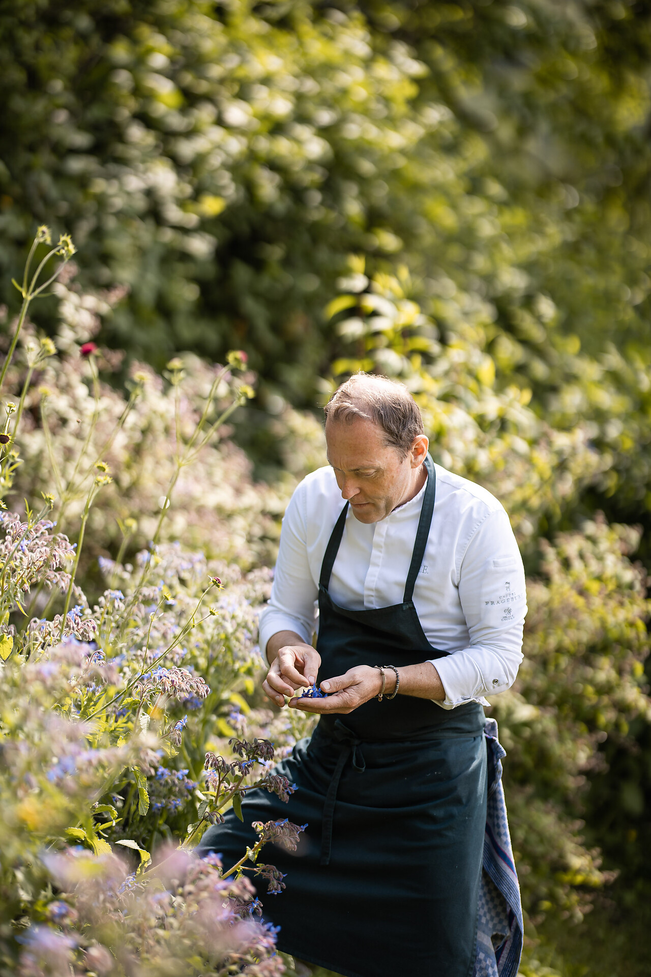 Gourmet Restaurant Prezioso - Merano e dintorni - #13 - suedtirol.info
