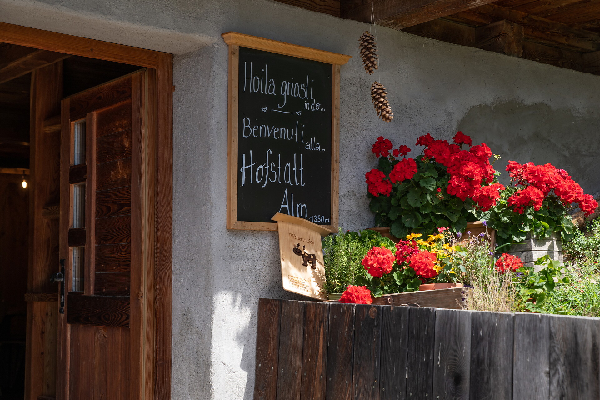 Hofstatt Alm hut Antholz