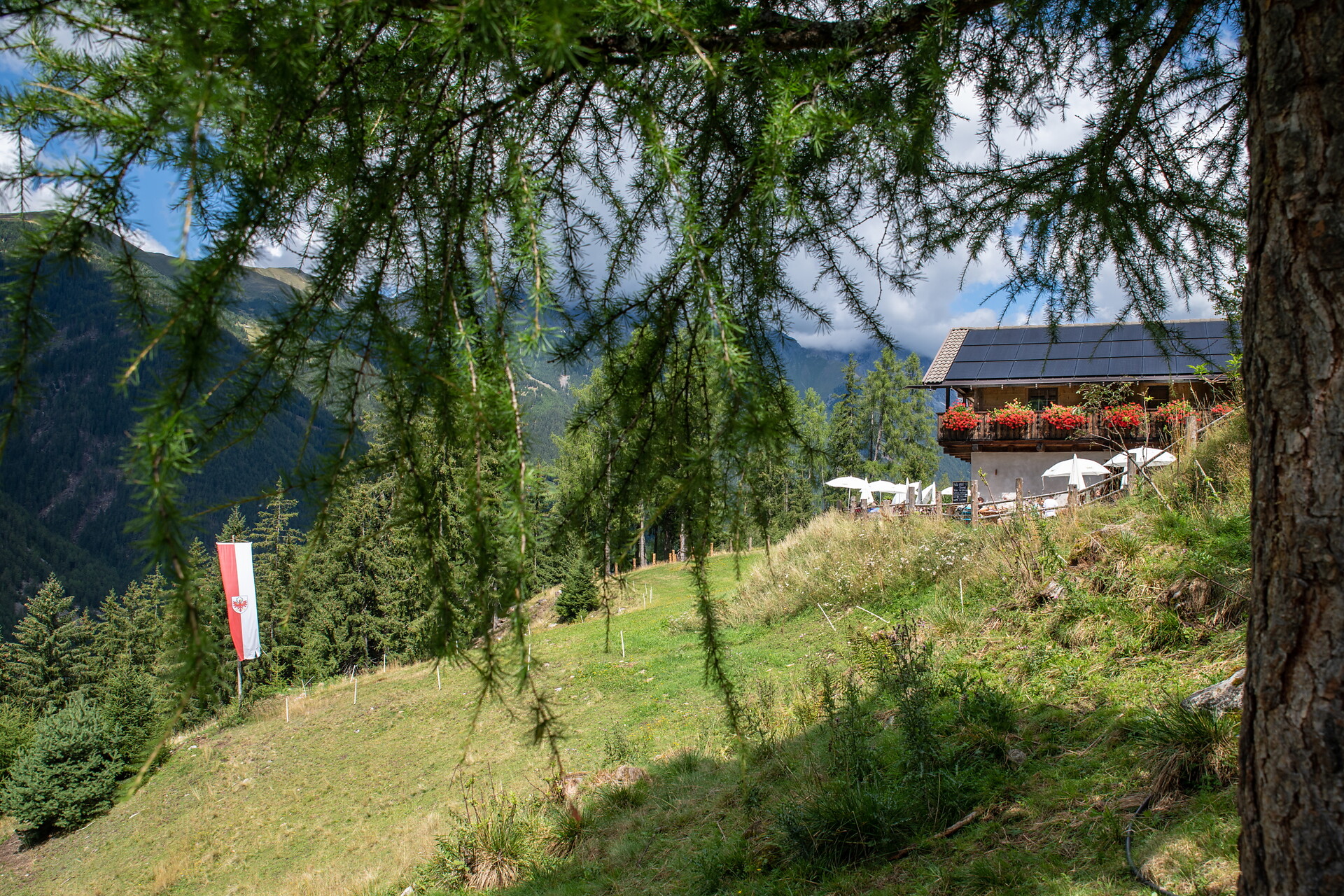Hofstatt Alm hut Antholz