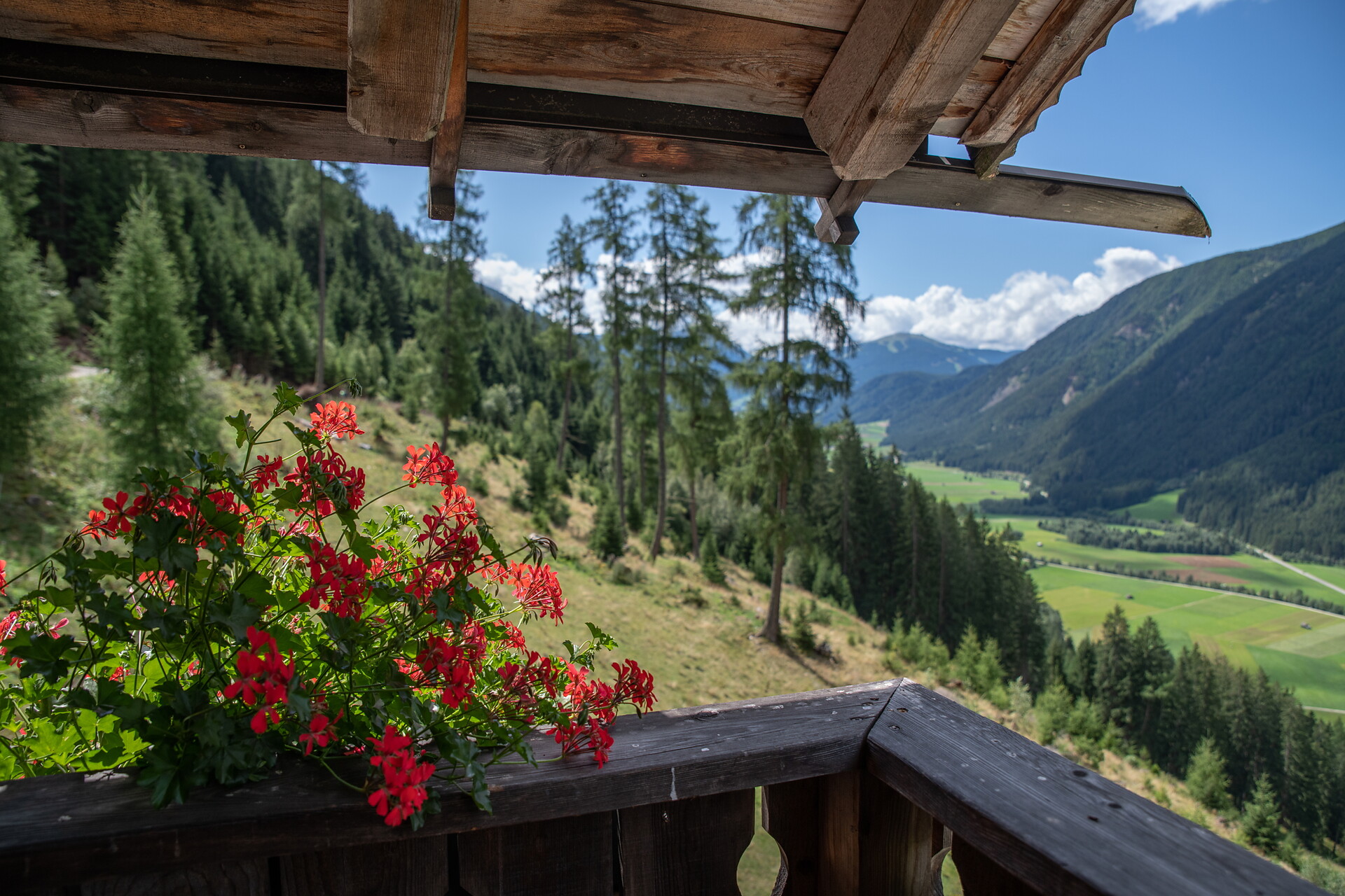 Hofstatt Alm hut Antholz