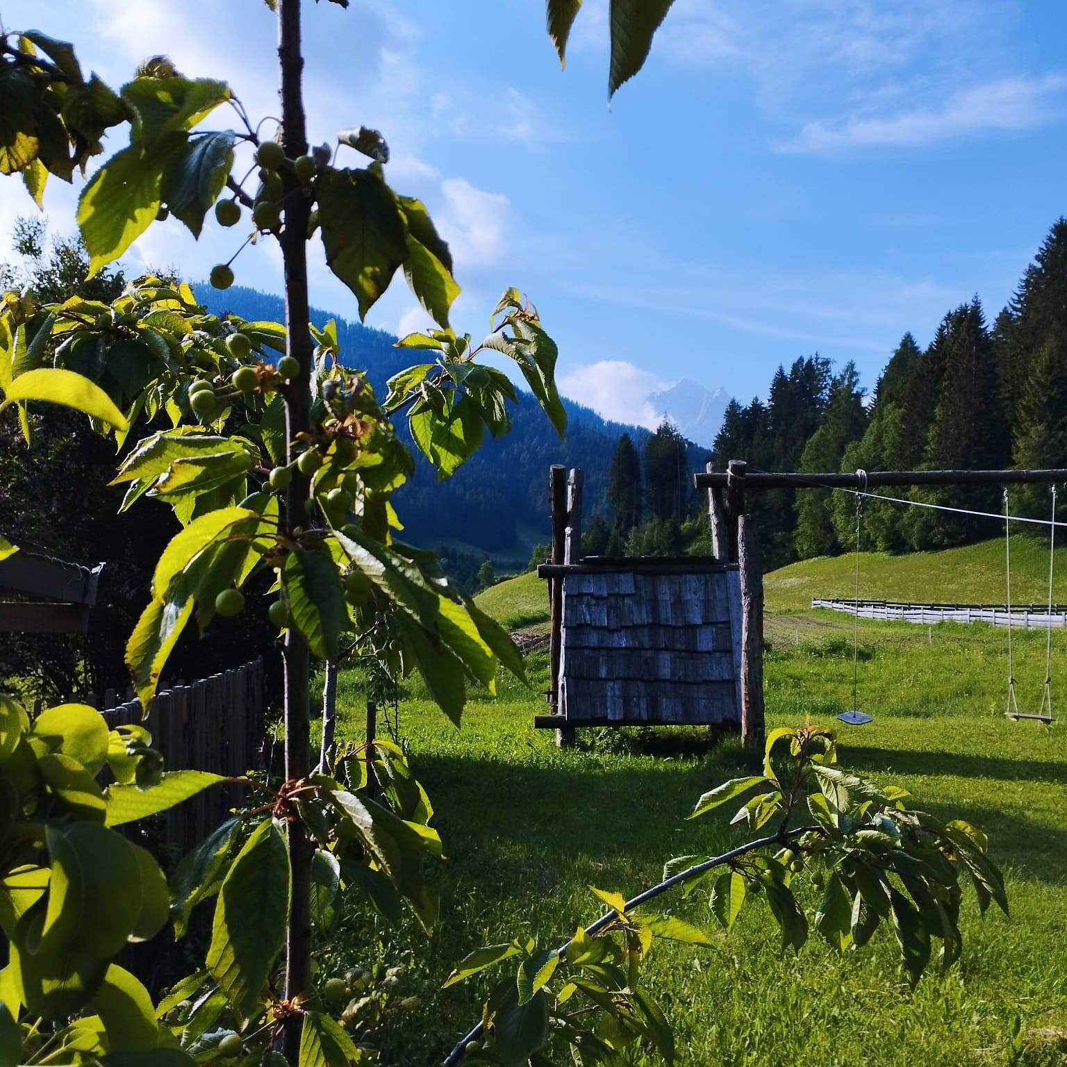 Hofschank Lechnerhof - Dolomitenregion 3 Zinnen - #7 - suedtirol.info