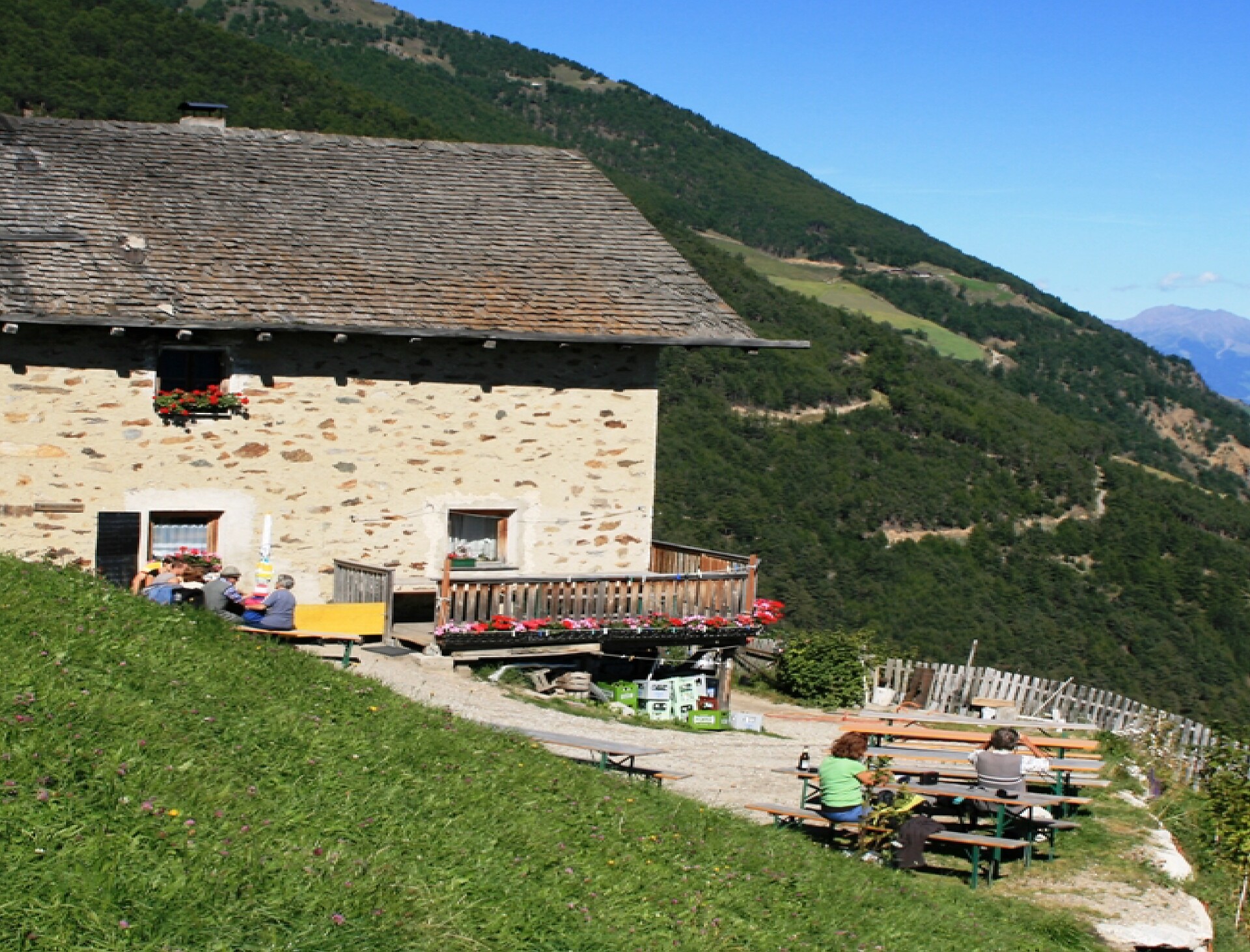 Platztair