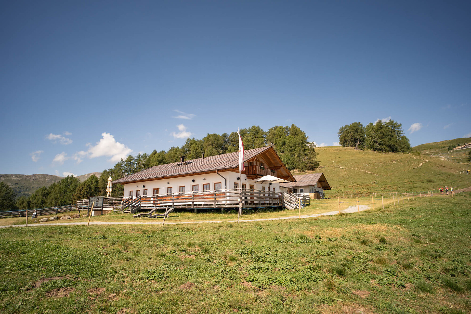 Höfer Alm - Vinschgau - #2 - suedtirol.info