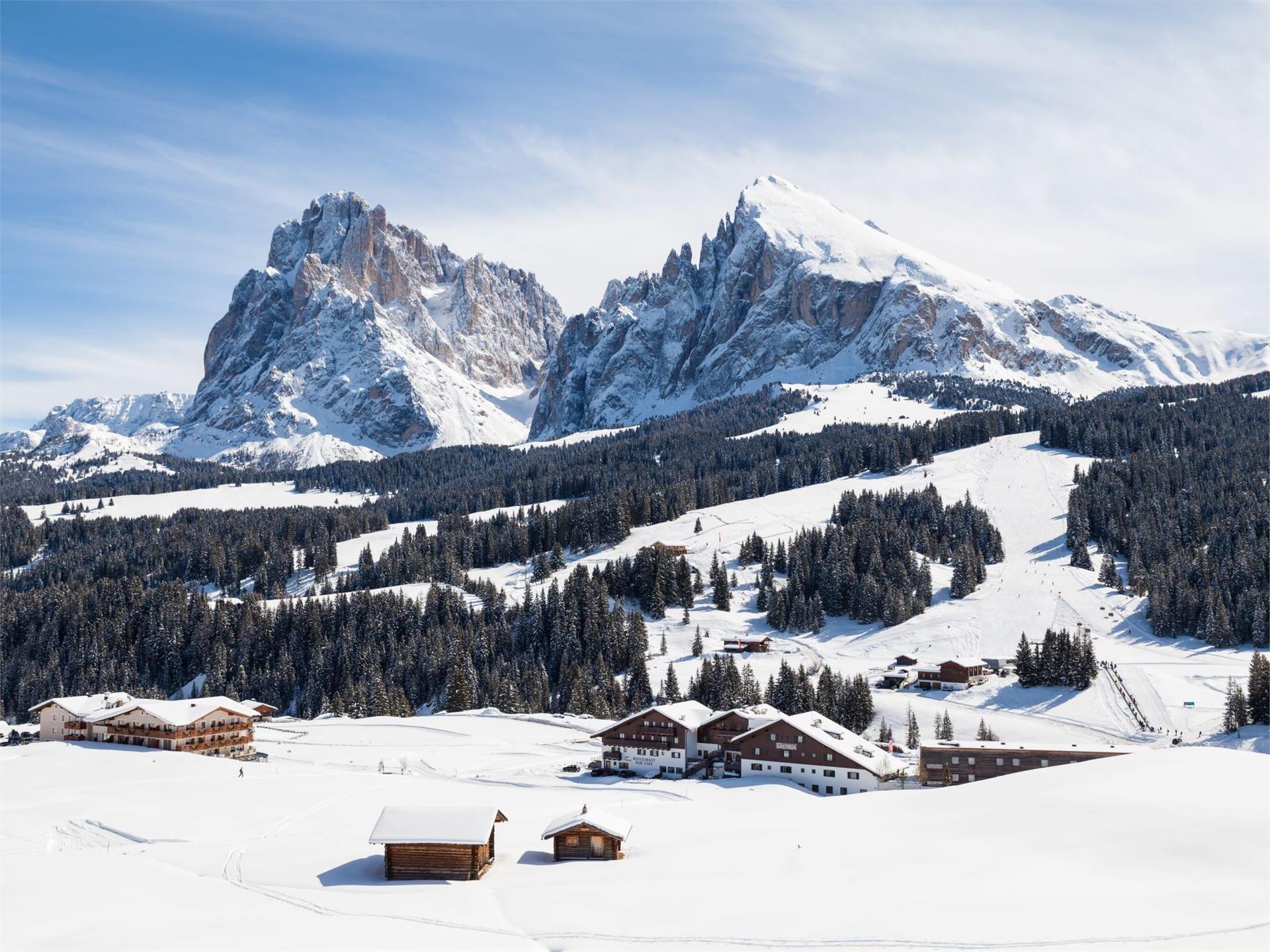 Saltria – Your Alpine Experience Kastelruth 1 suedtirol.info