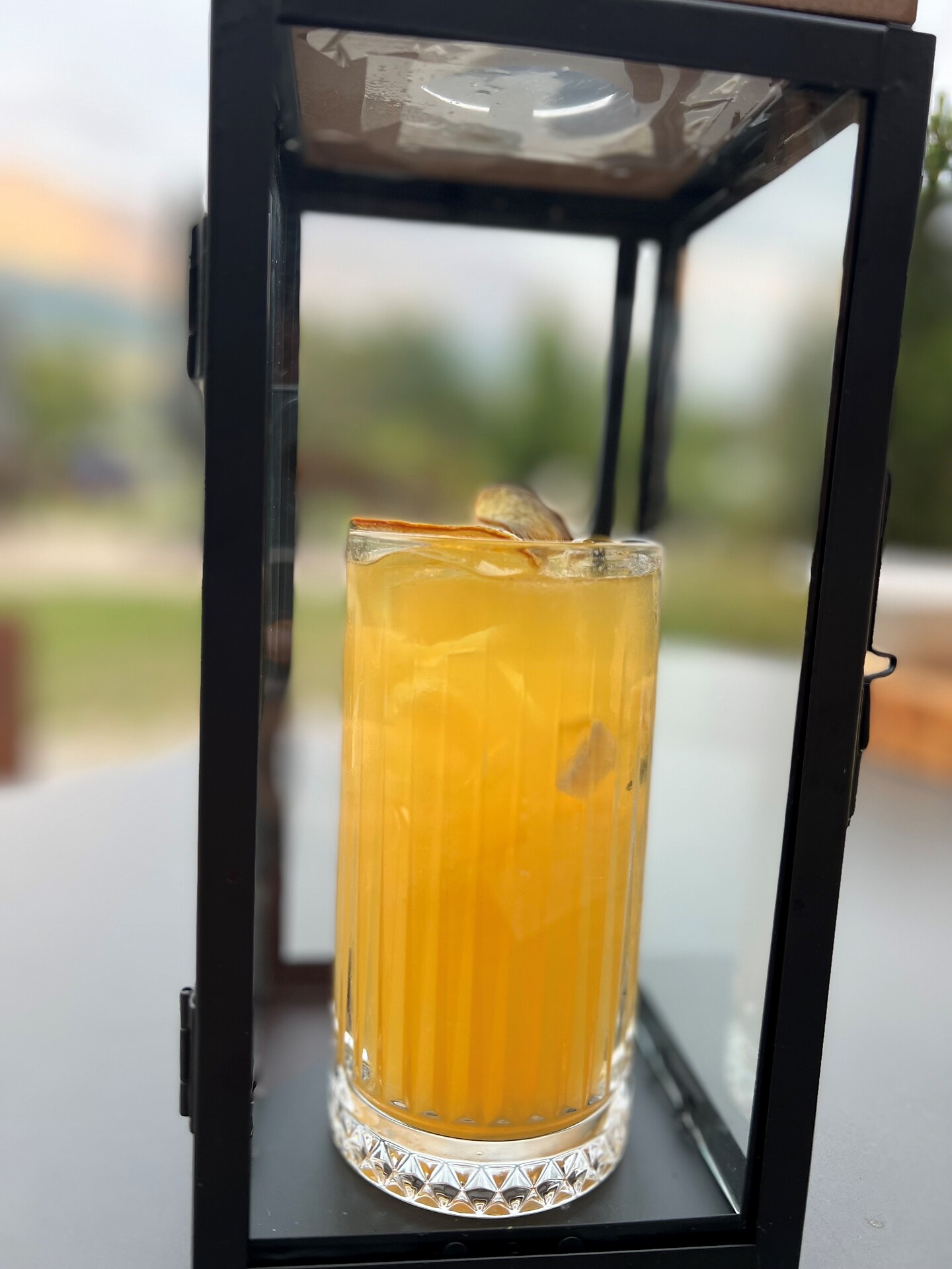 Dolomites Safari Lounge Bar