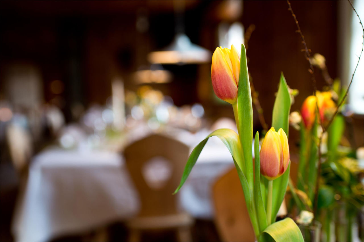 Hotel Saalerwirt San Lorenzo di Sebato 4 suedtirol.info
