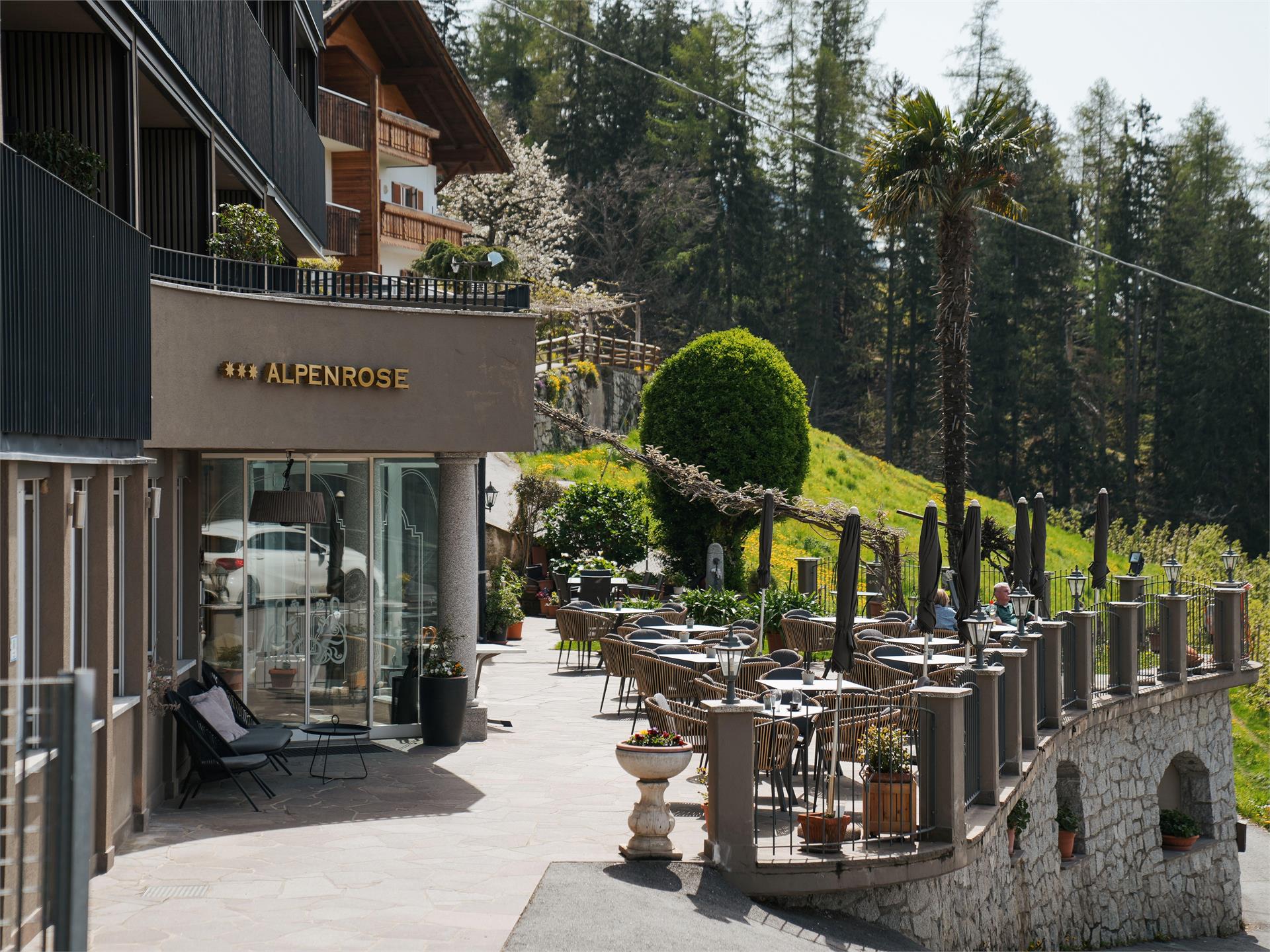 Alpenrose Hotel Caffè Scena 1 suedtirol.info