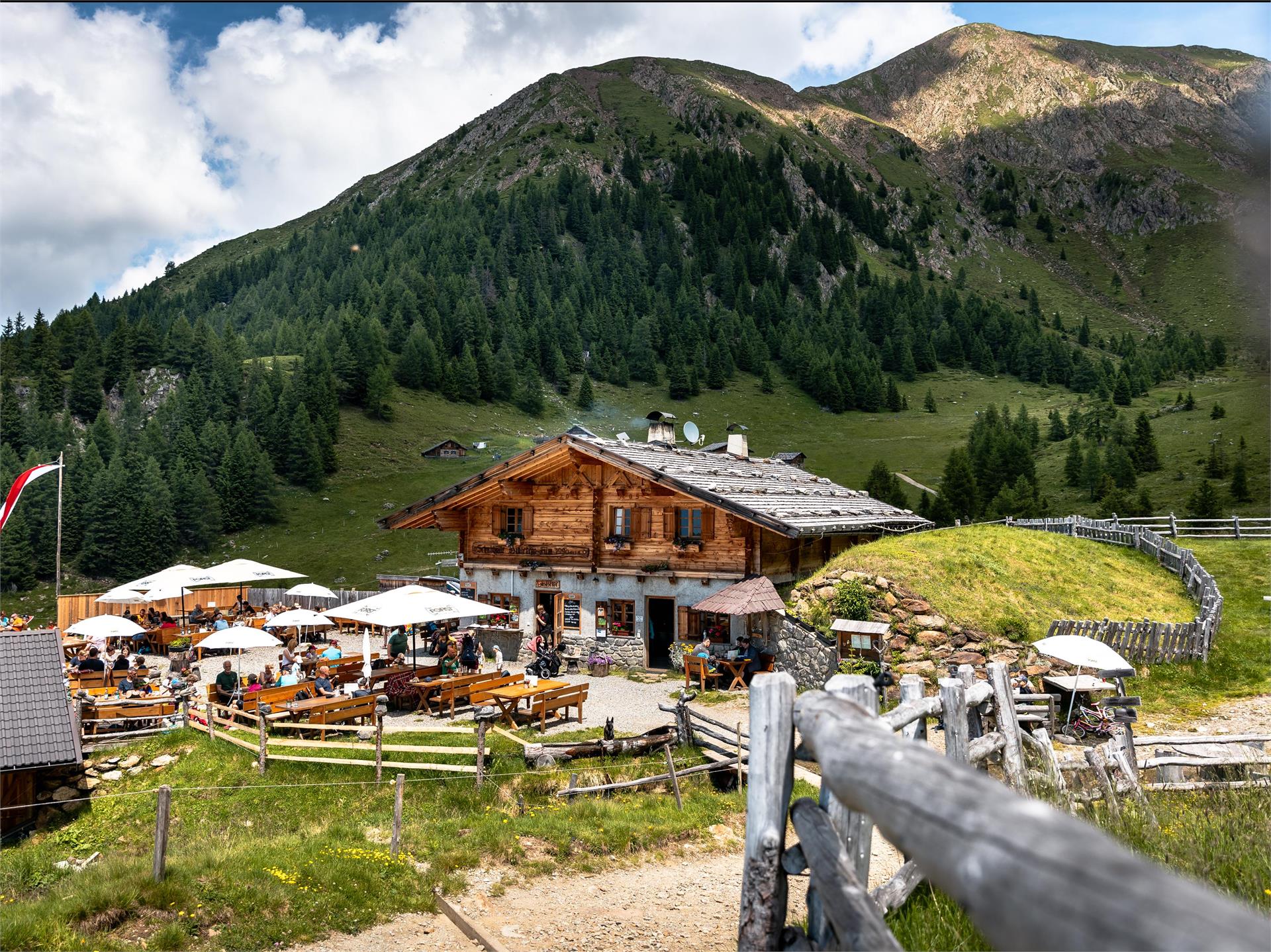 Hintereggalm - mountain hut Schenna/Scena 1 suedtirol.info